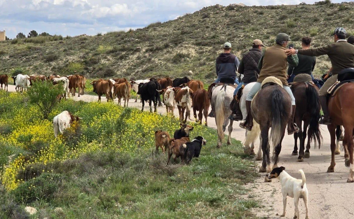 WhatsApp Image 2026-03-02 at 13.44.4.jpeg