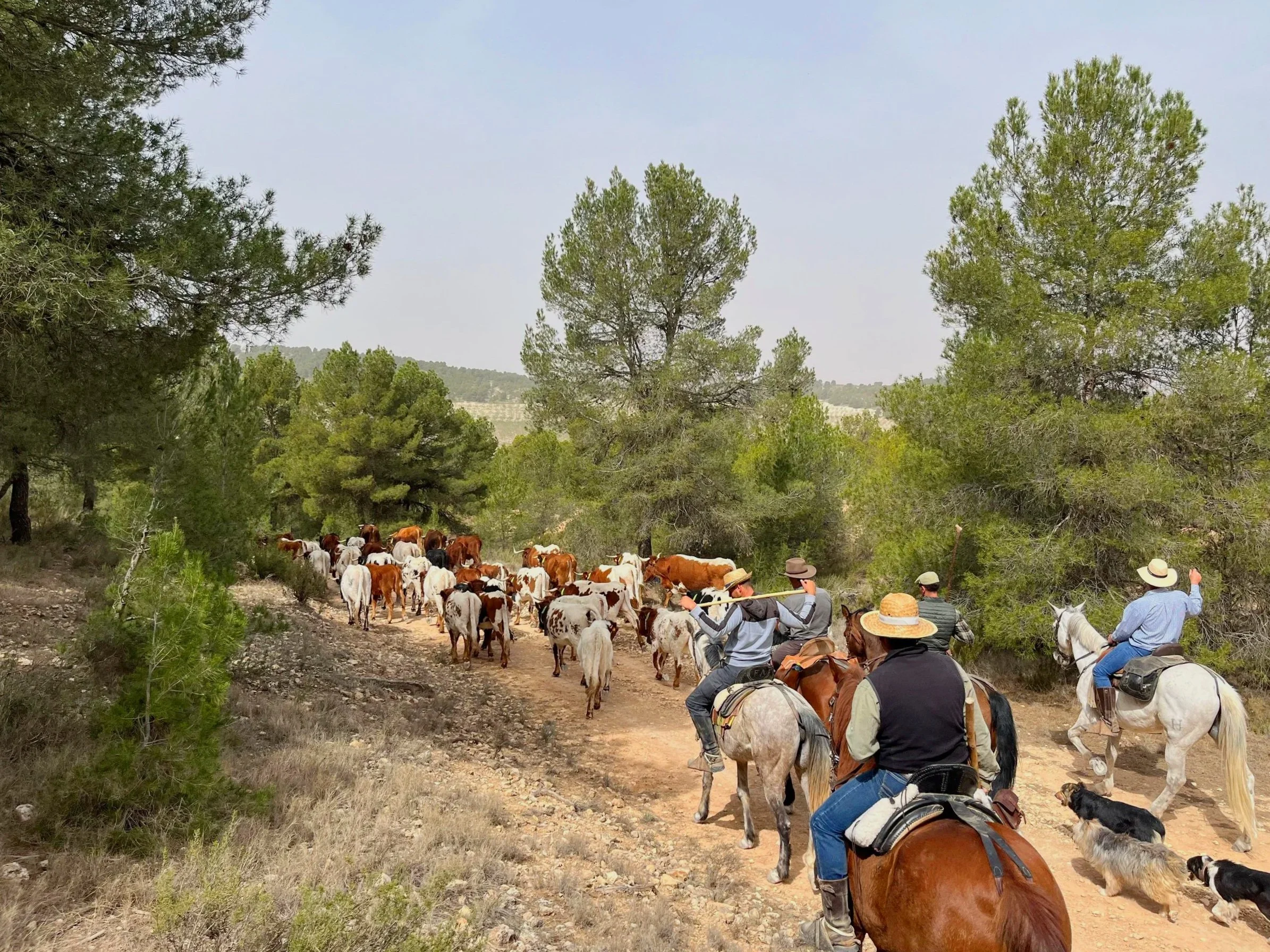 Título de la publicación de blog cuatro (Copy)