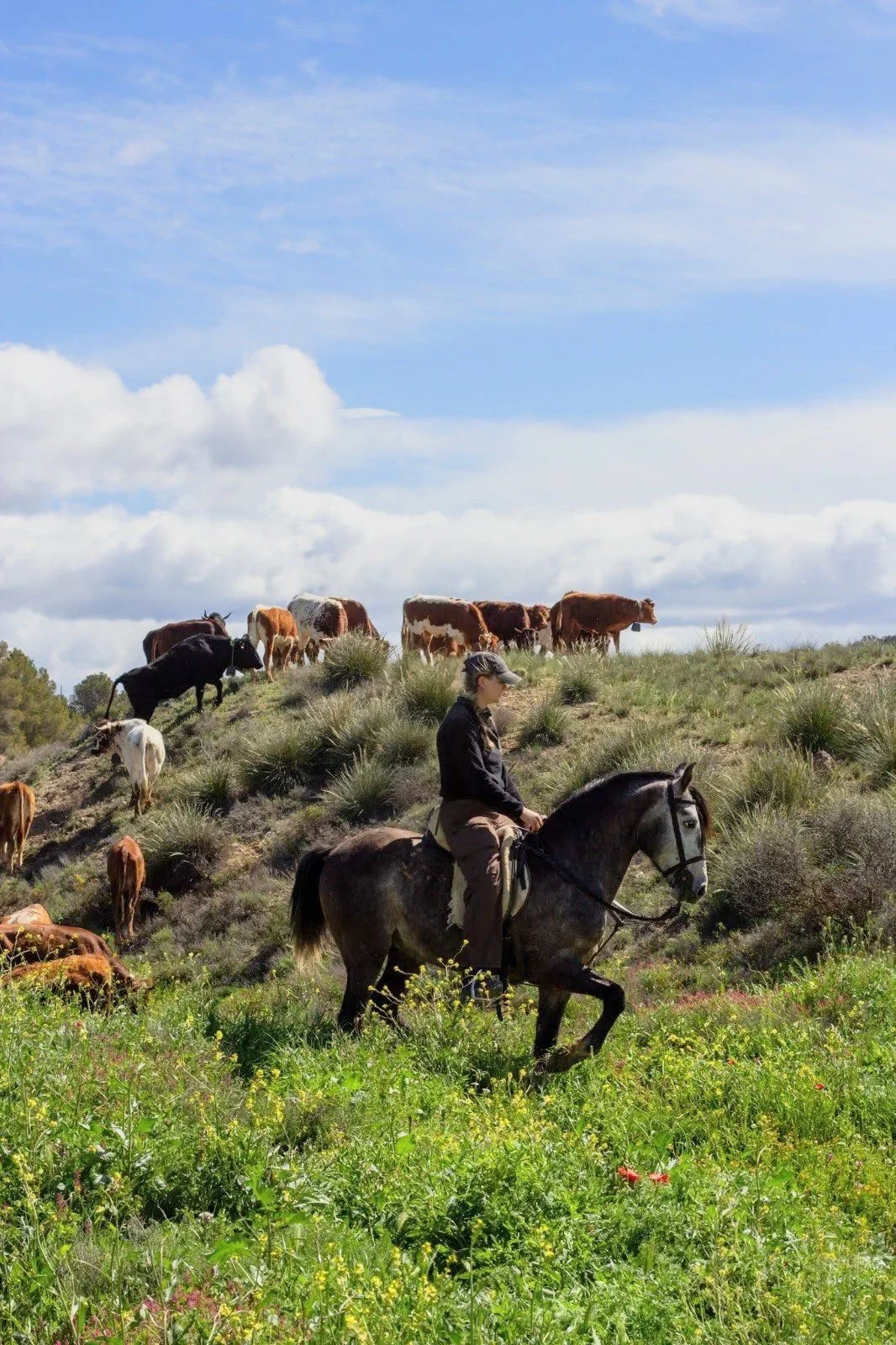 Título de la publicación de blog uno