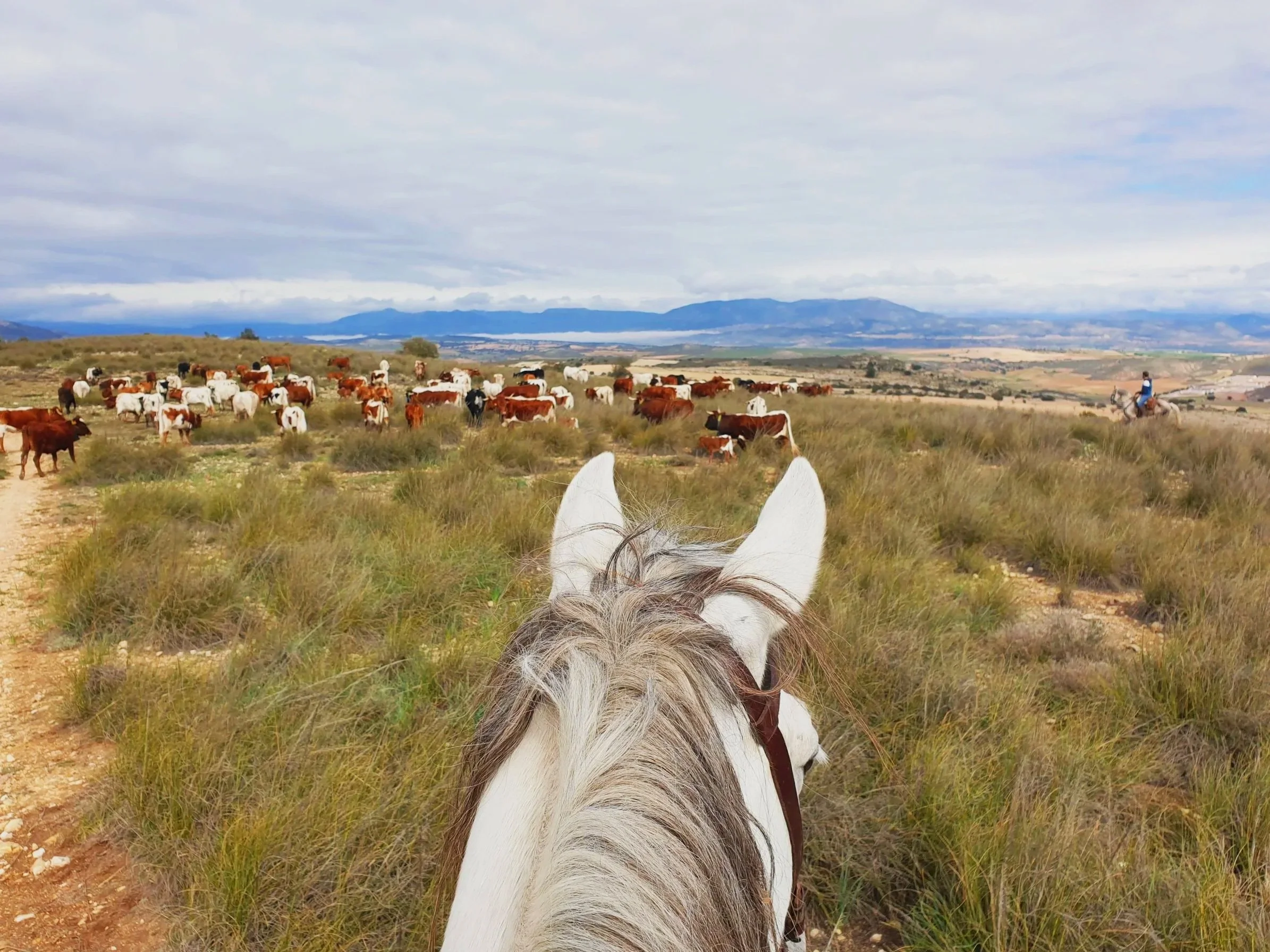 Título de la publicación de blog dos