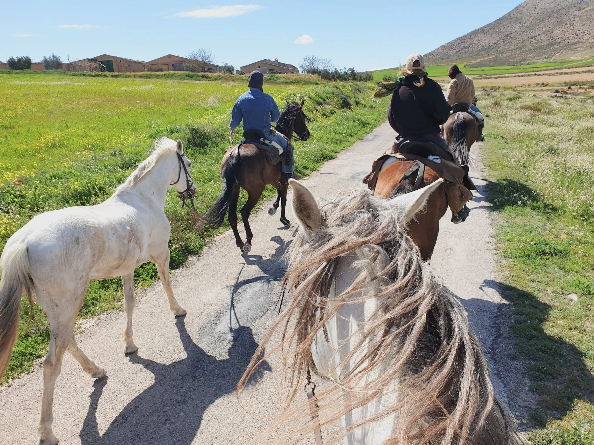 Título de la publicación de blog dos (Copy)