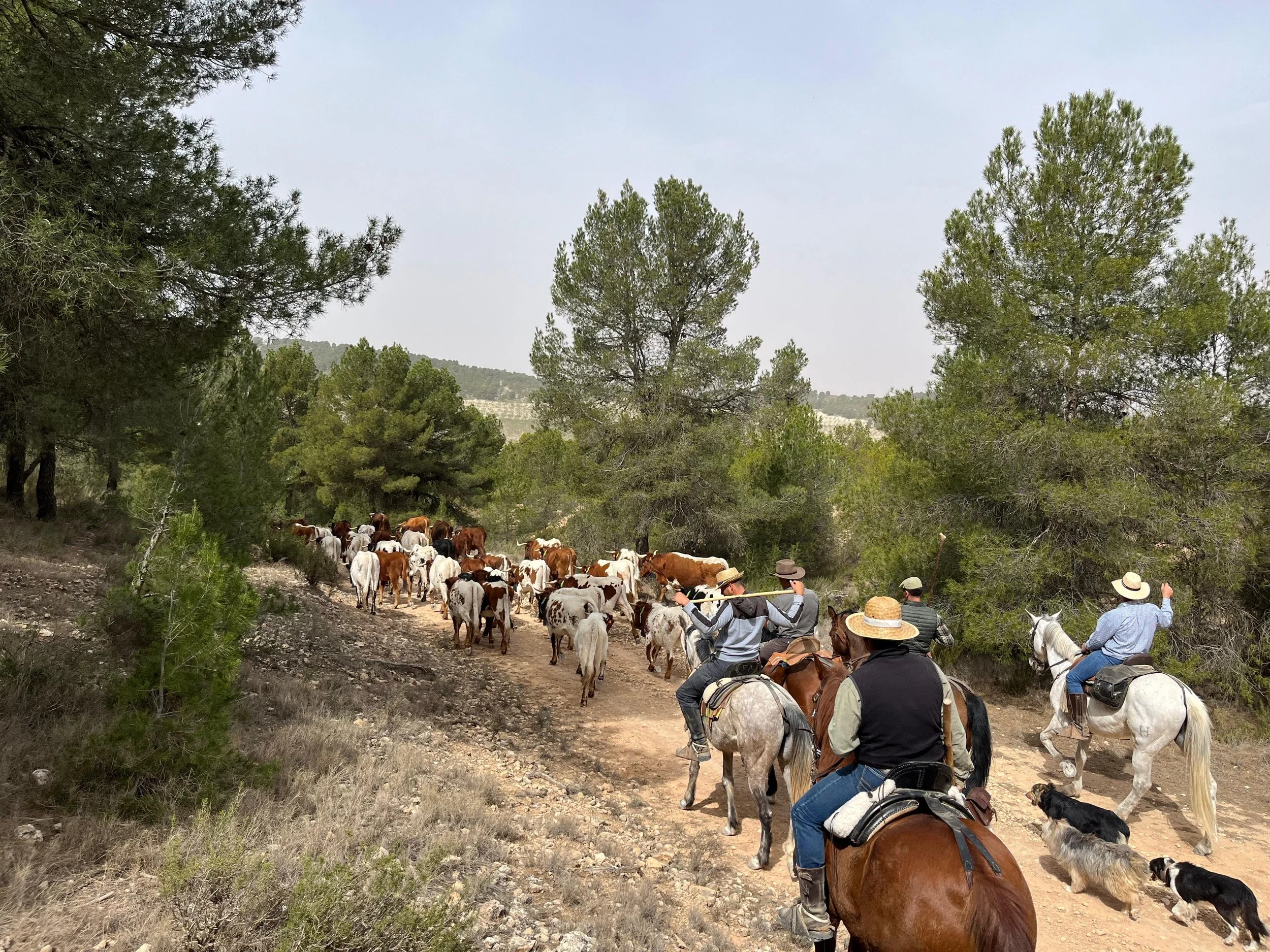 WhatsApp Image 2026-03-02 at 13.46.38.jpeg