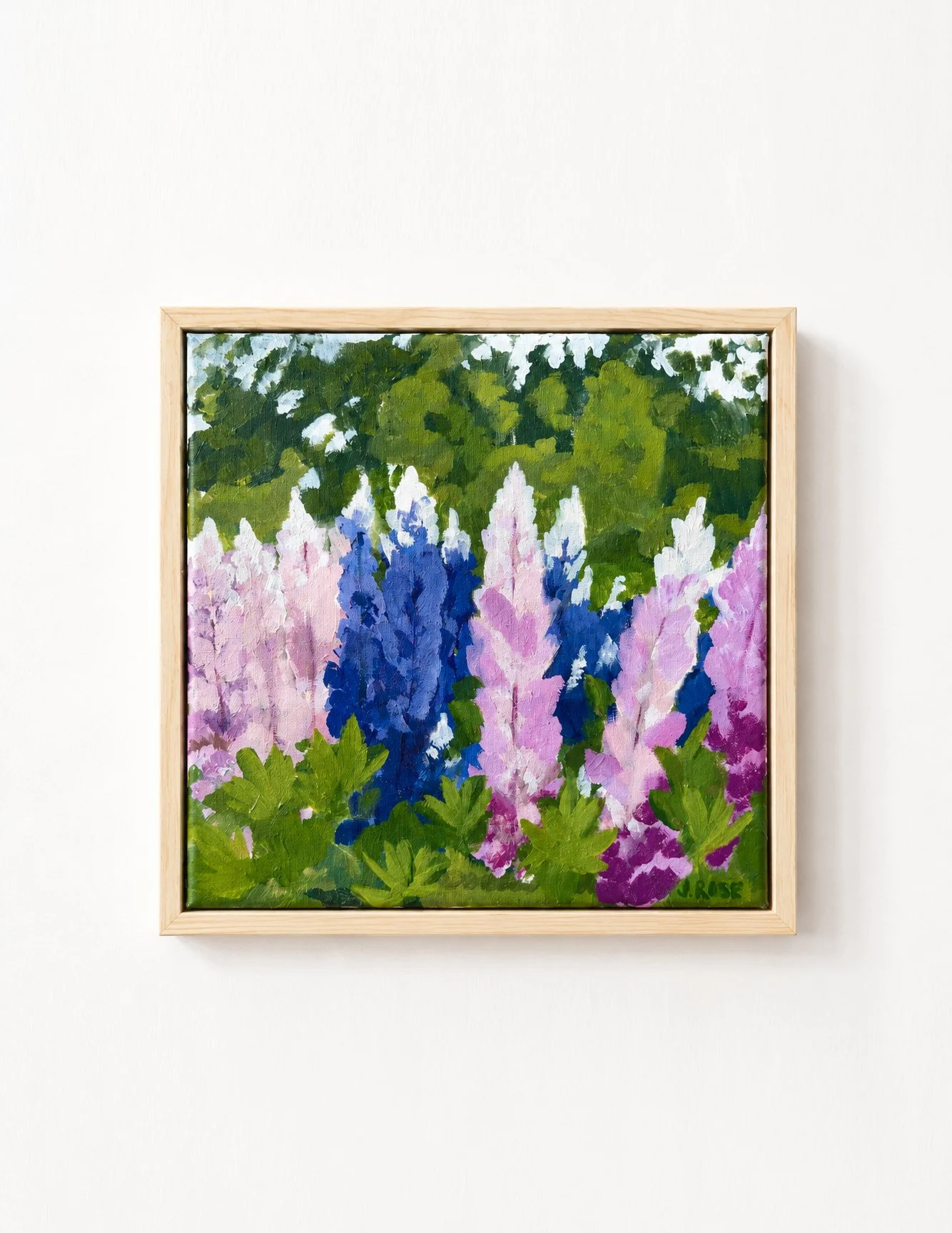 lupines.jpg