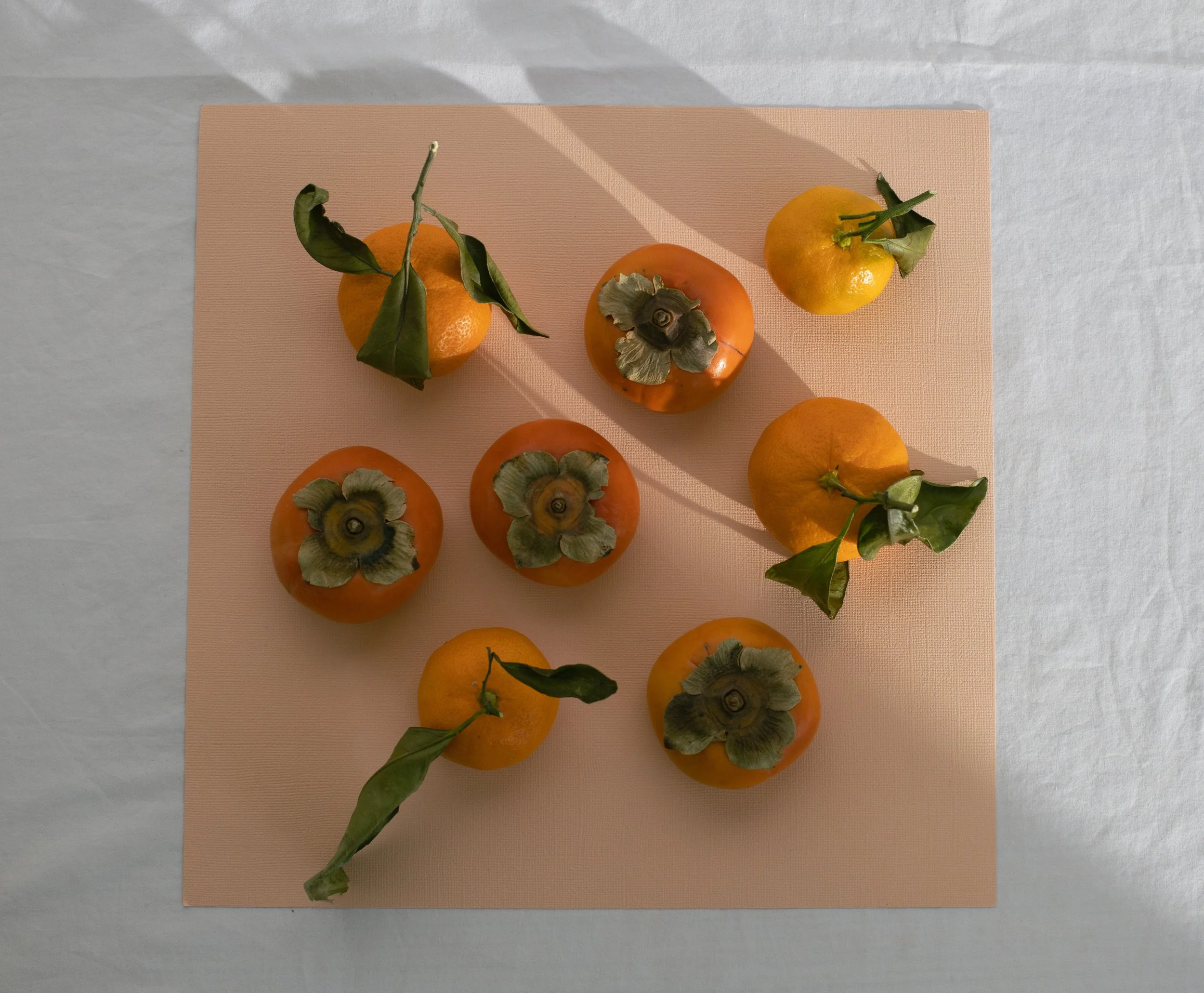 Food Prepping Hacks