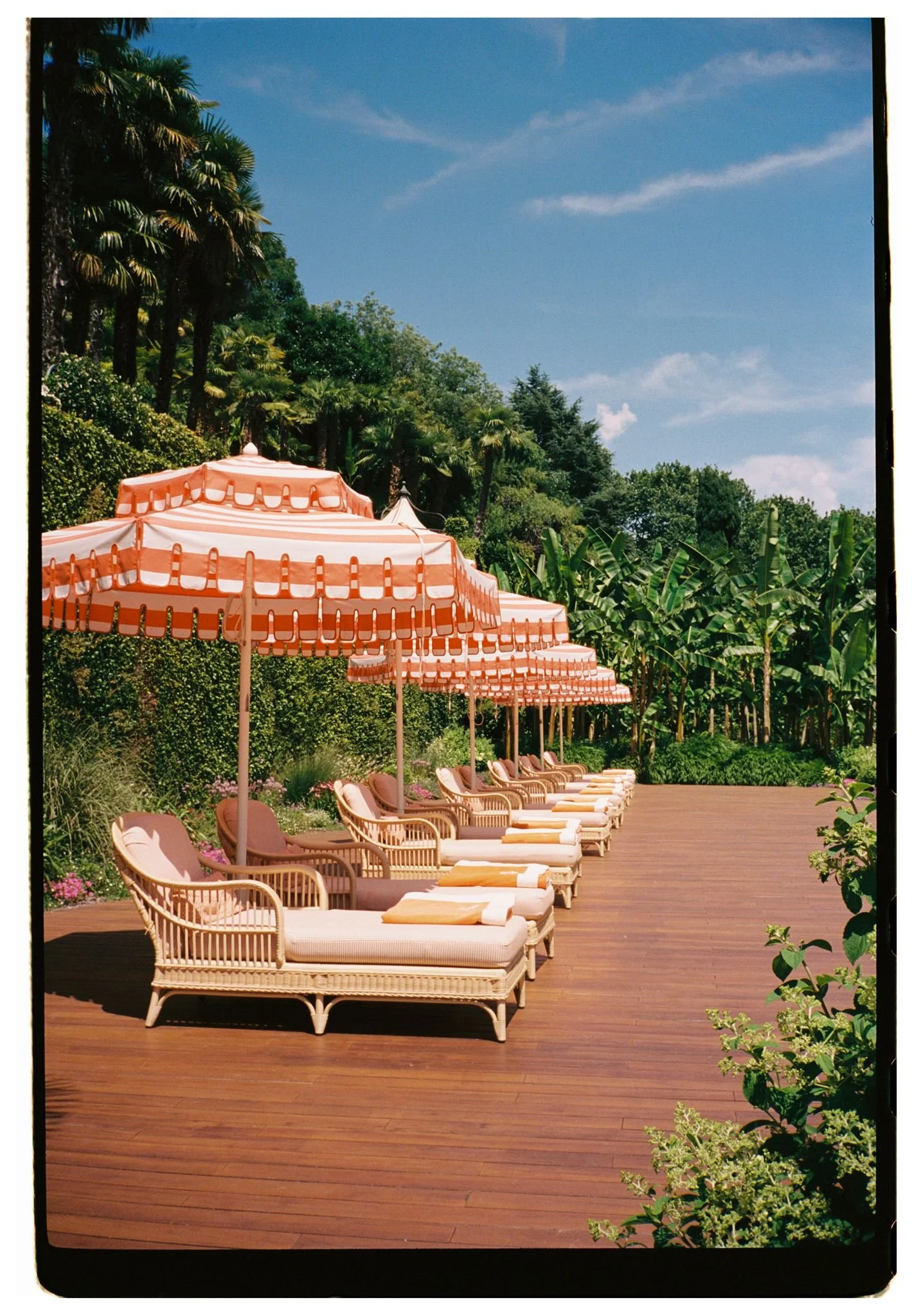 Film-51_websize (1).jpg