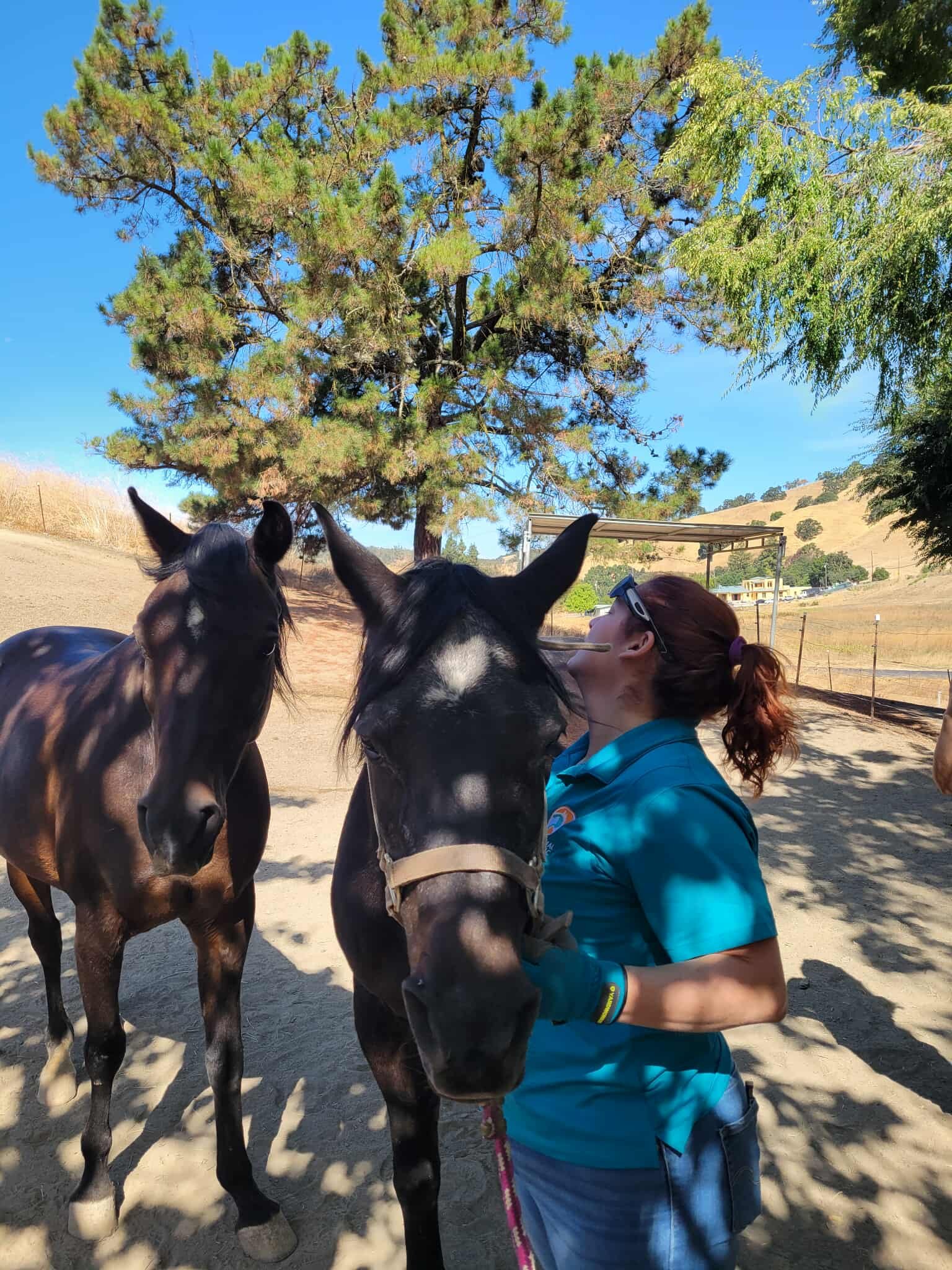 🧬 Your Nervous System Isn’t Just in Your Head: It’s Rooted in Every Major Chakra as an Energetic &amp; Emotional Portal to your Animal Healing (and yours too)