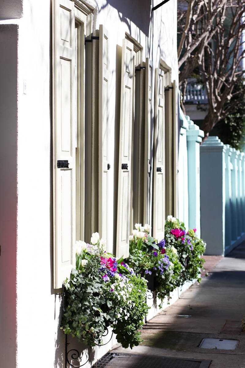 ac-planters-57.JPG