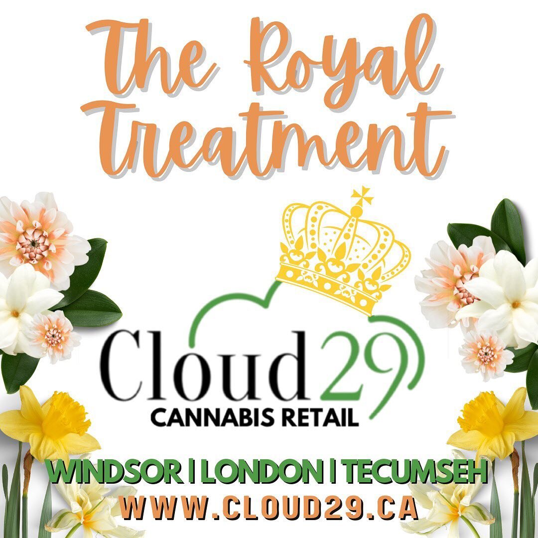 Great service does exist!  And you deserve it!💚

We make learning and shopping for the right product easy, fun and we are even pretty entertaining characters.🤪

Swing by a Cloud 29 location!  Weed love to meet you!

Windsor: 
300 Cabana Rd E.

Lond