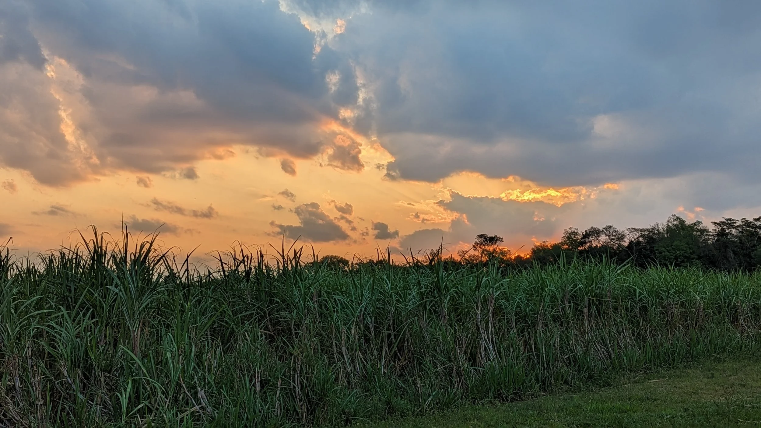 PXL_20230912_211928465[1].jpg