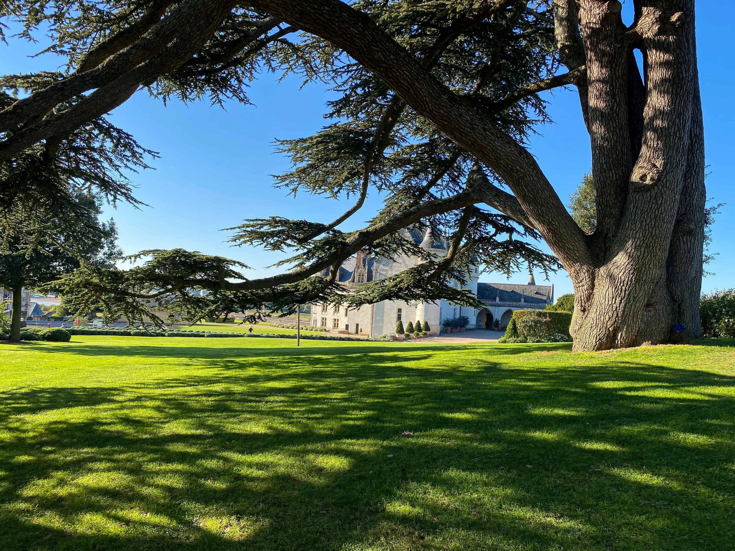 Château Royal d’Amboise, France