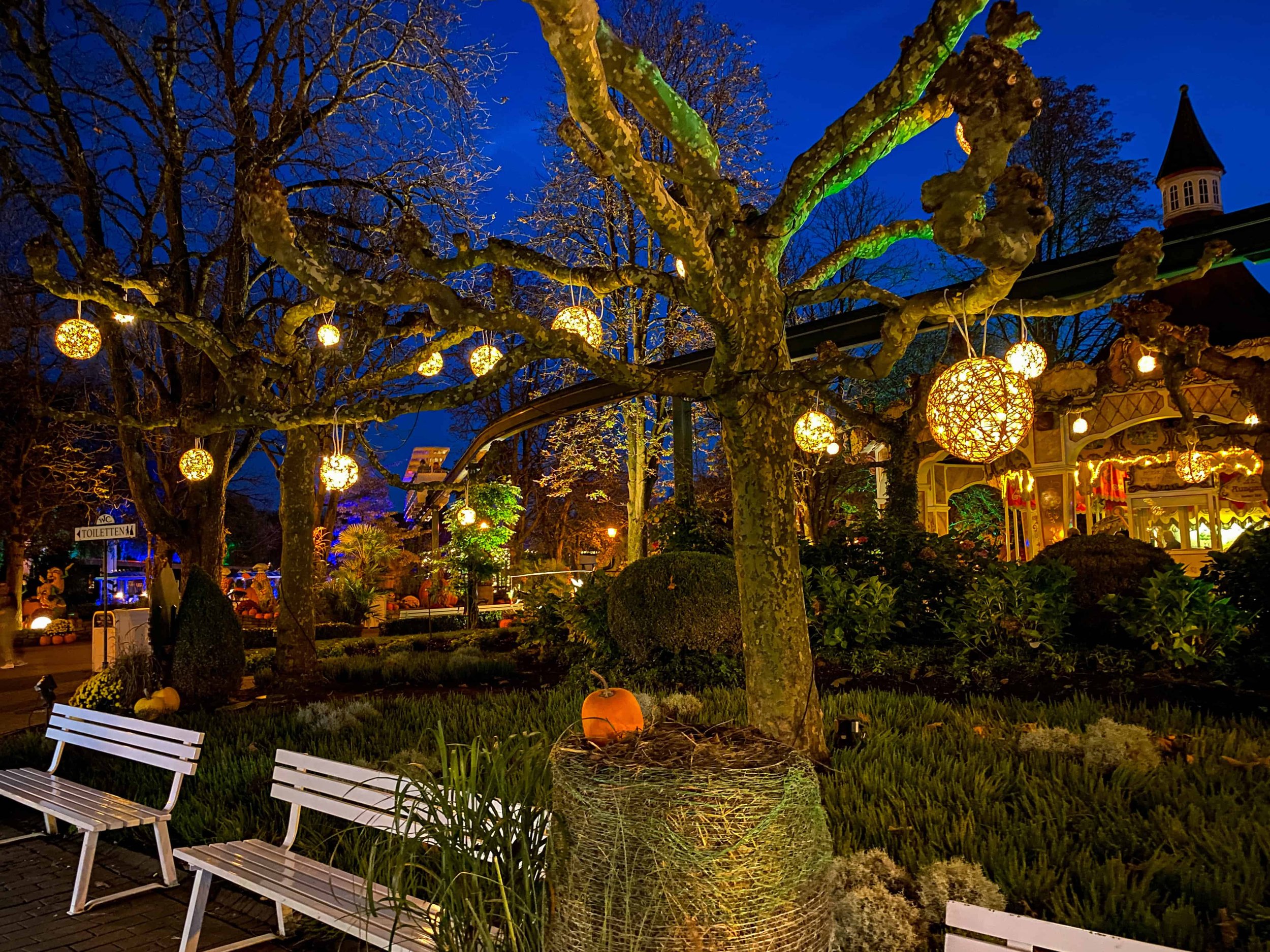 Glowing lanterns hanging in bare trees at Europa-Park at dusk during the Halloween season.