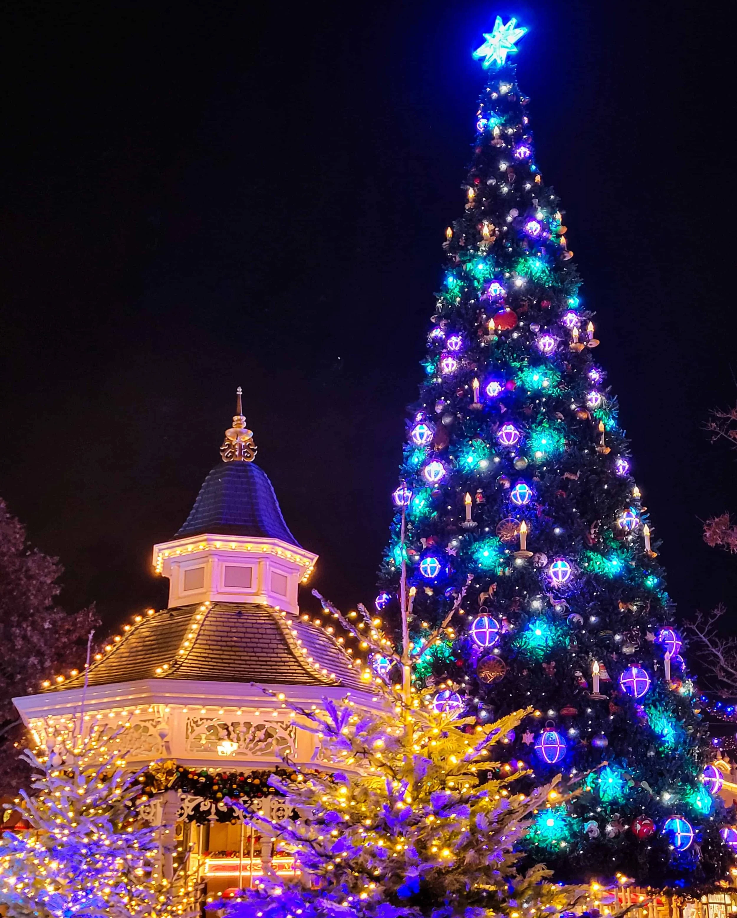 The giant Town Square Christmas tree at Disneyland Paris glowing blue and purple at night beside a lit gazebo.