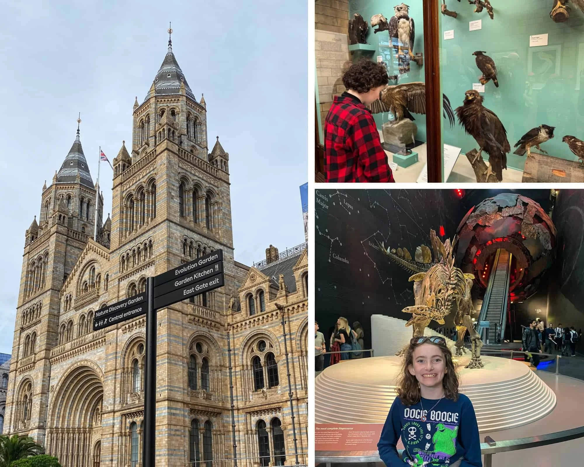 Teenagers enjoying the dinosaur skeletons and exhibits inside the free Natural History Museum London, one of the best family attractions in the city
