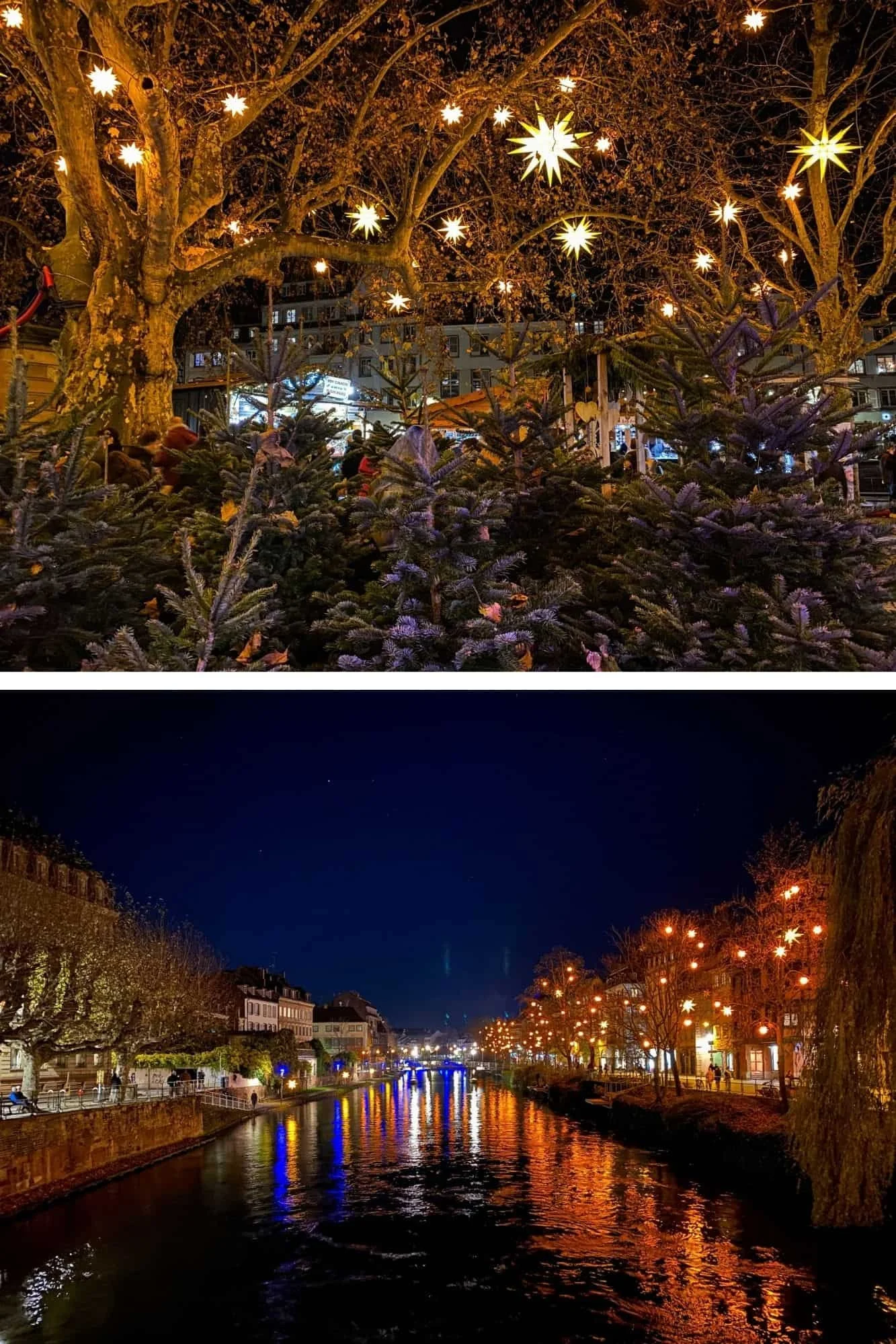 Star lights in a tree above fir trees, and a night view of the Ill River reflecting glowing buildings