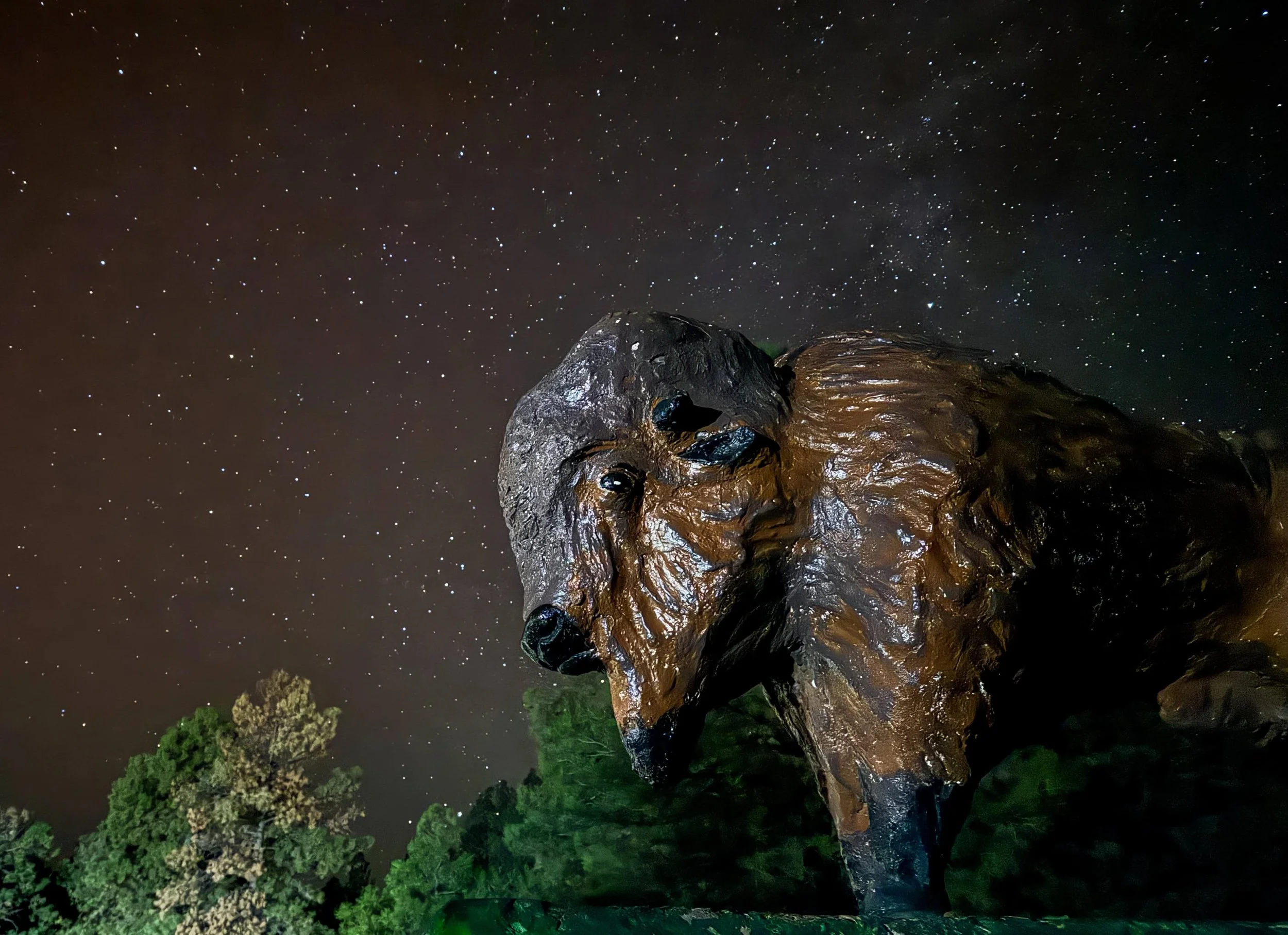Family road trip to the most amazing view of the stars & the Milky Way at Buffalo Park in Flagstaff, Arizona!