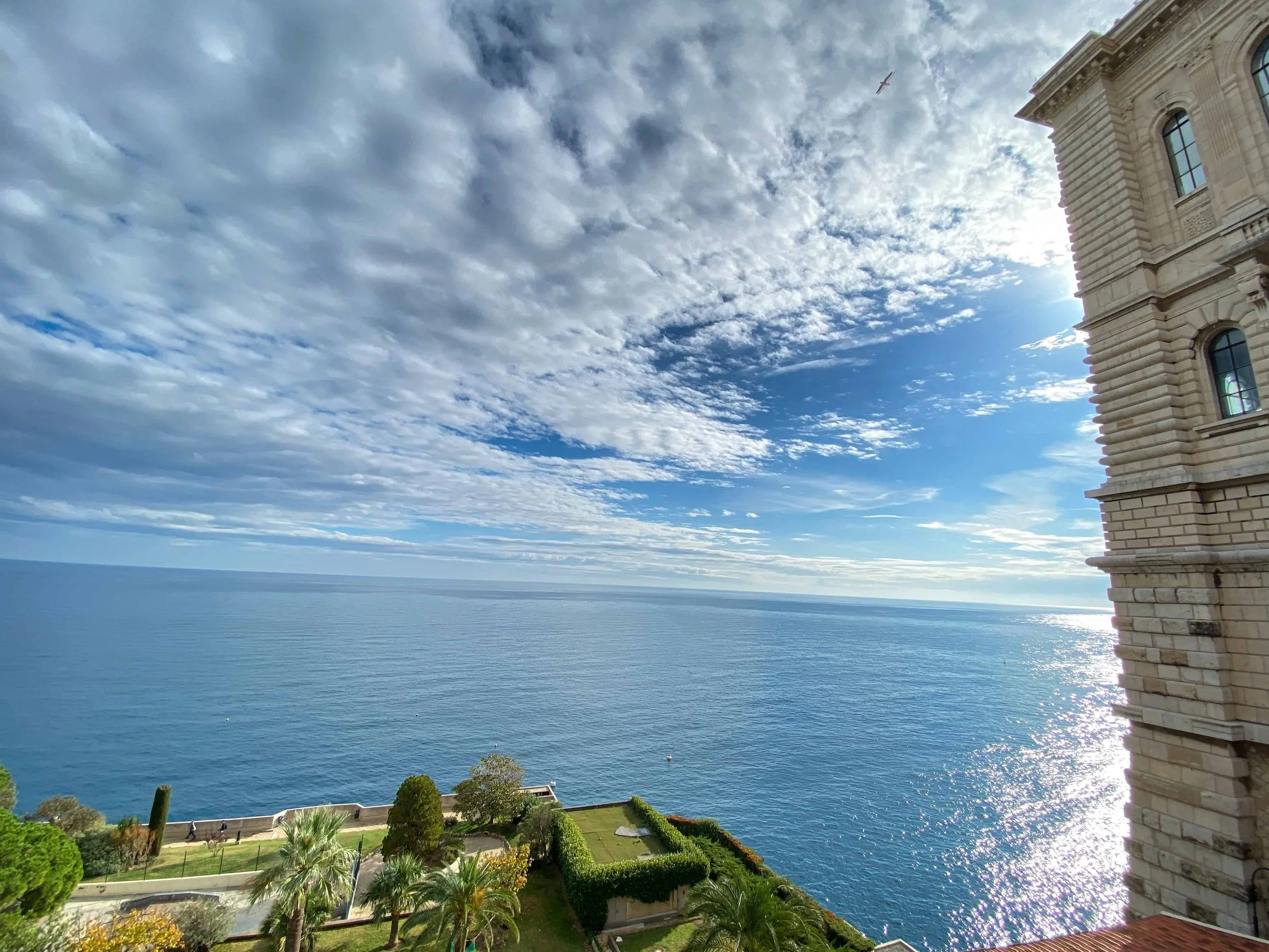 Panoramic Mediterranean Sea view from the cliffside terrace of the Oceanographic Museum of Monaco, with manicured gardens, palm trees, and dramatic cloudscape over open water