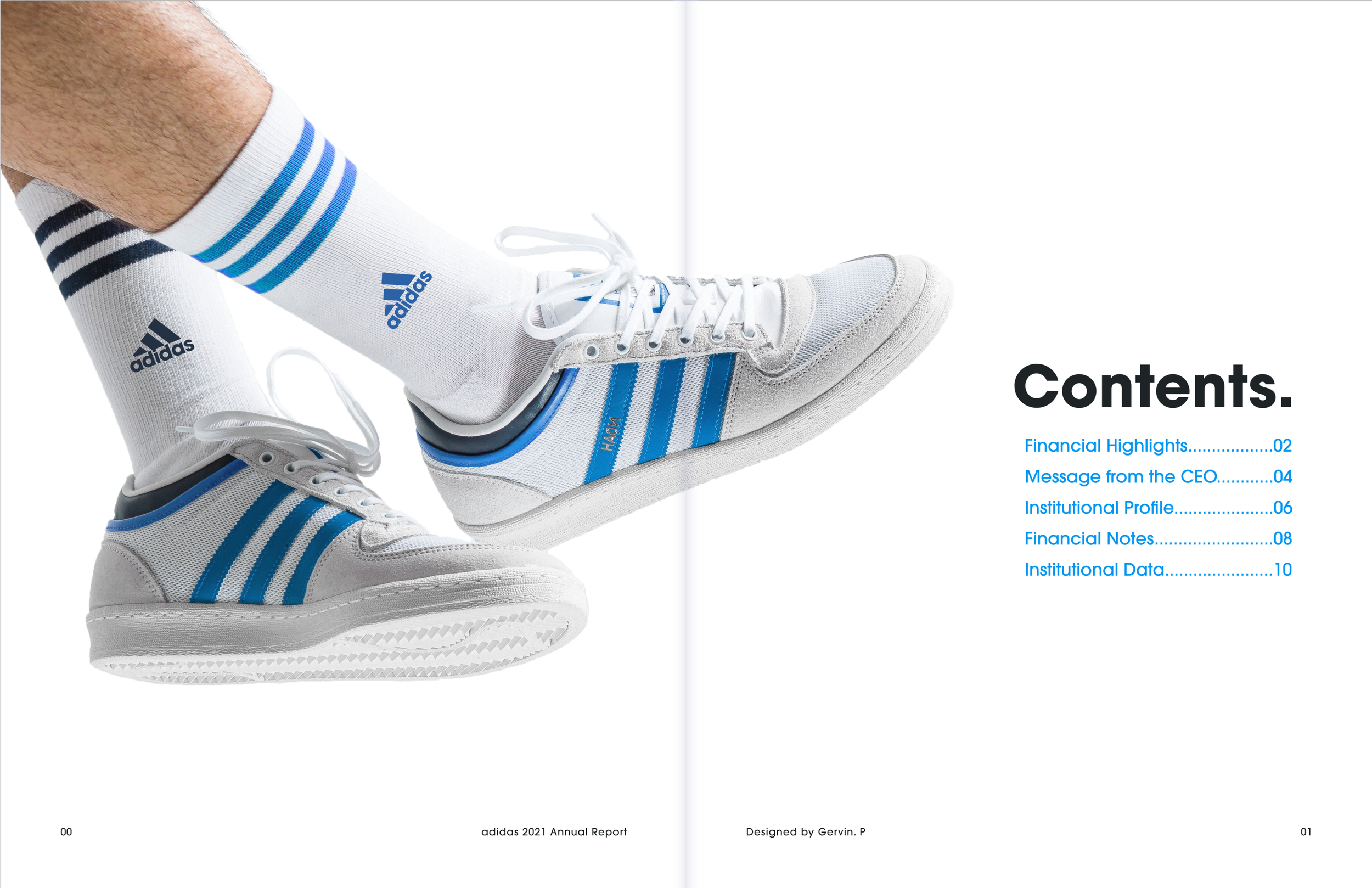 adidas annual mockup-01.png
