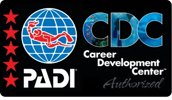 NOVEMBER 2026 INSTRUCTOR DEVELOPMENT