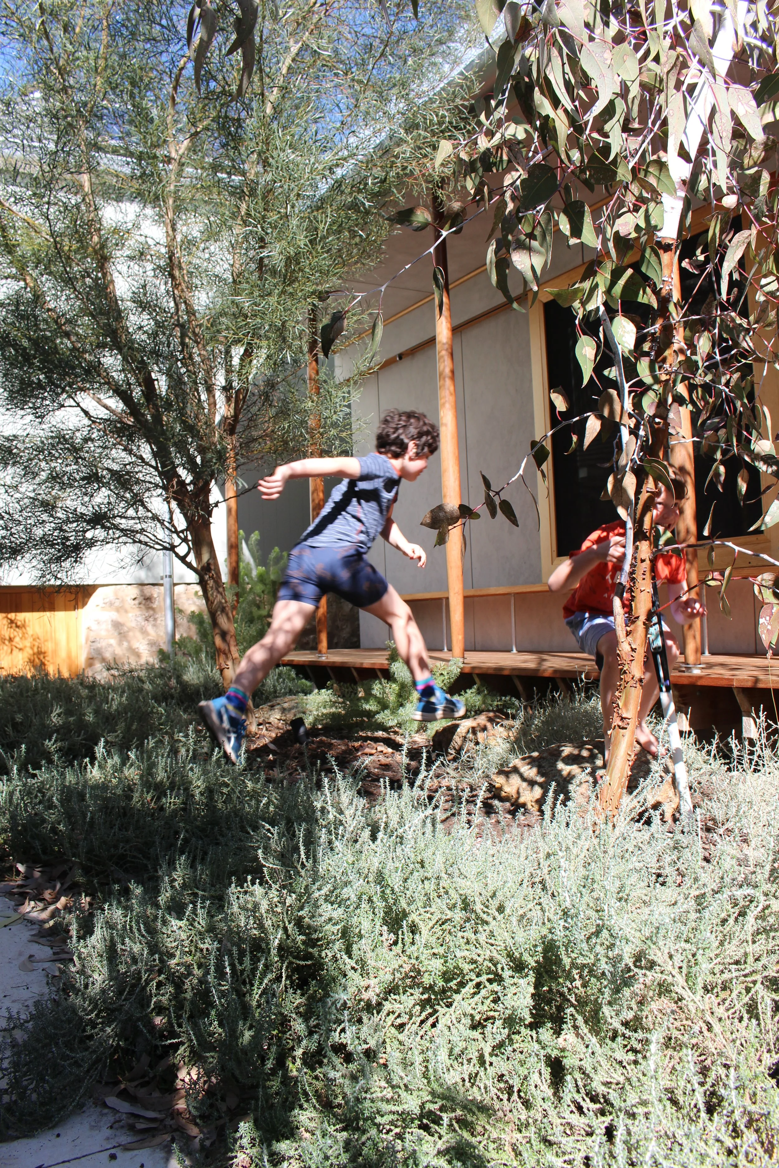 Bulwer 3 - Marano.JPG