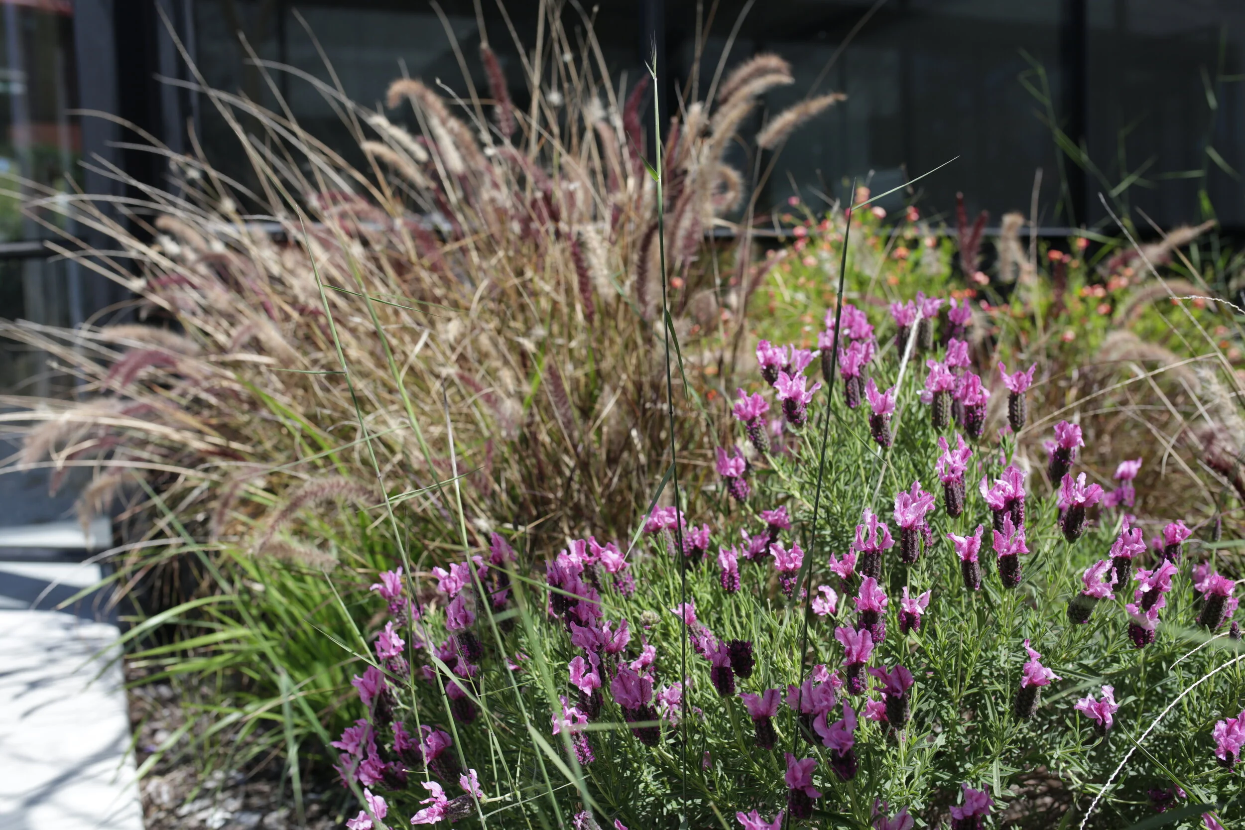 Photos by Benjamin Hoskin and Sohan Ariel Hayes