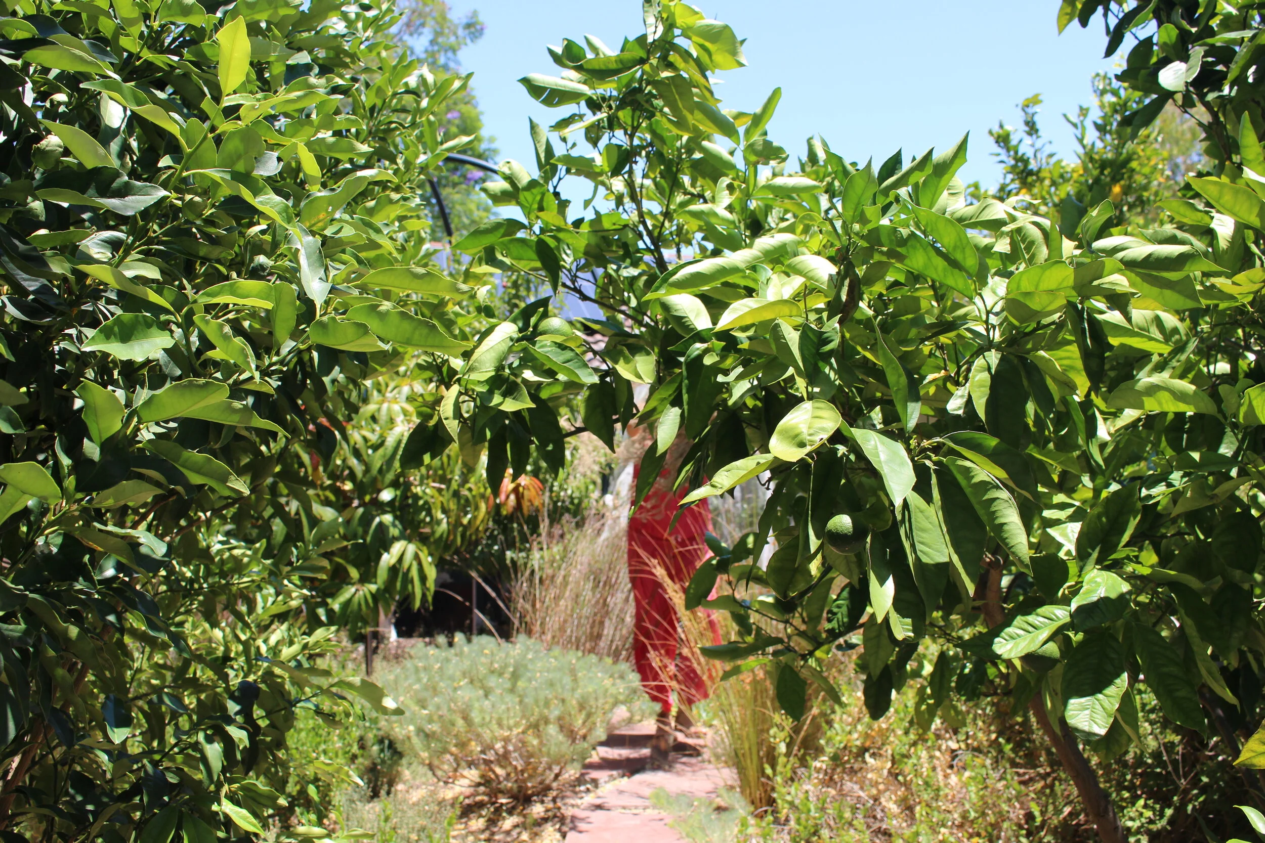 Photos by Sarah May and Dan Marano