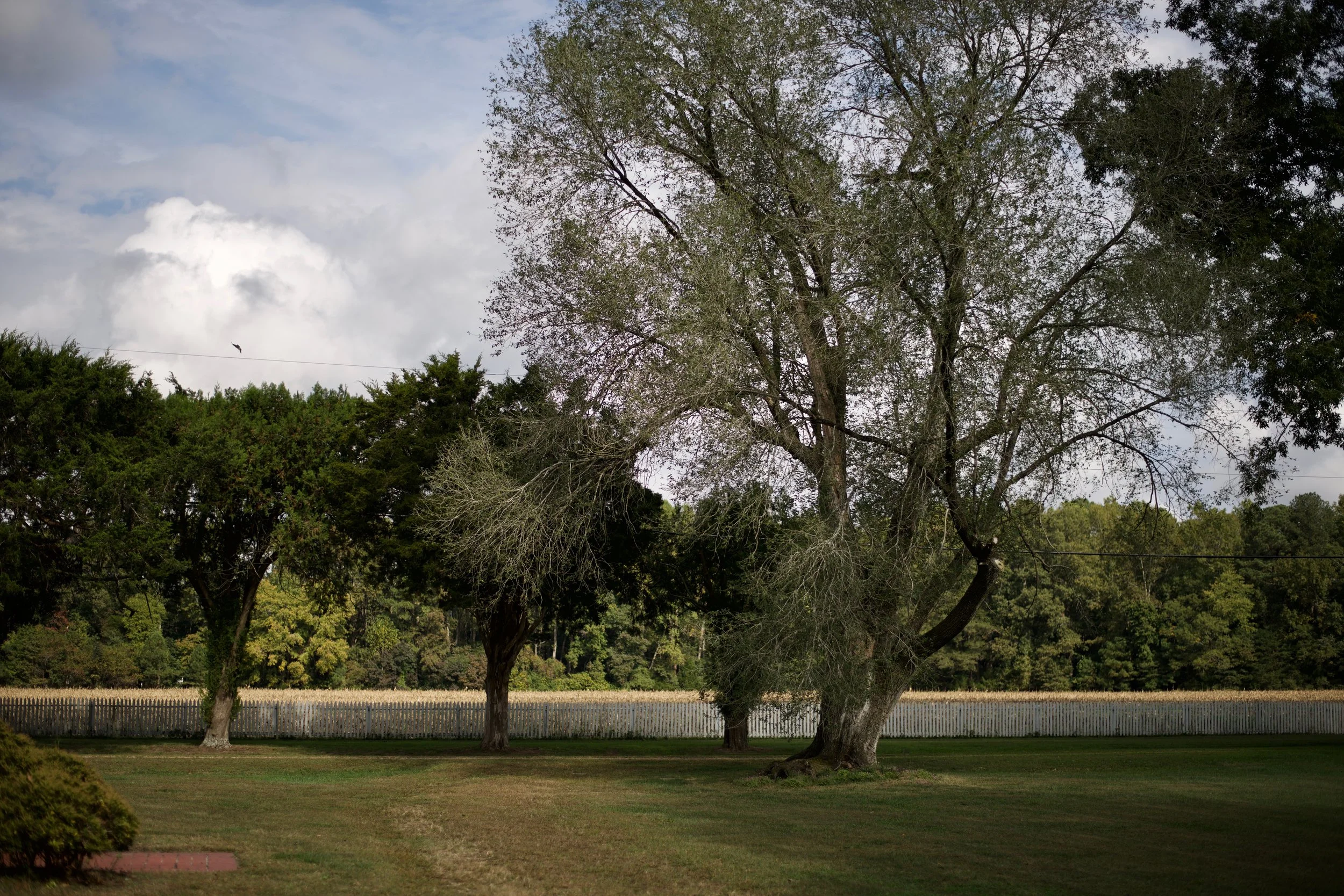 DSC_9501.jpg