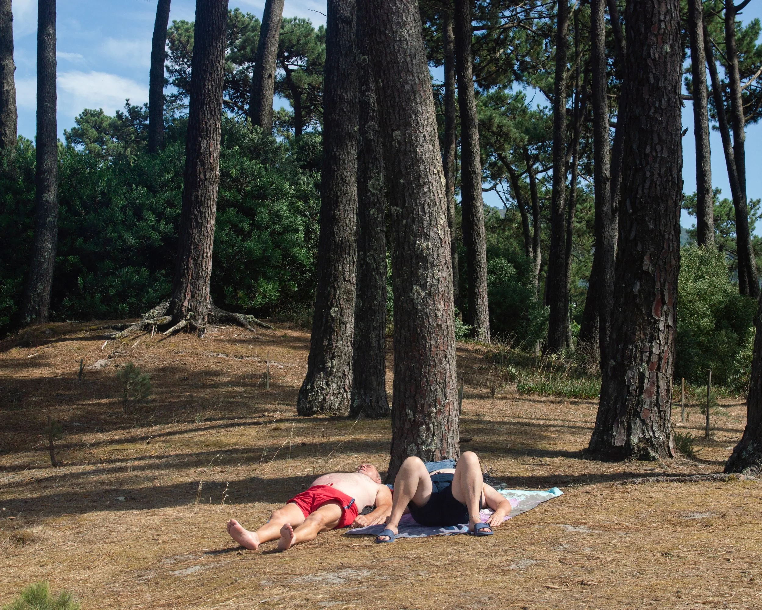 stitulo4, moledo, 2021.jpg