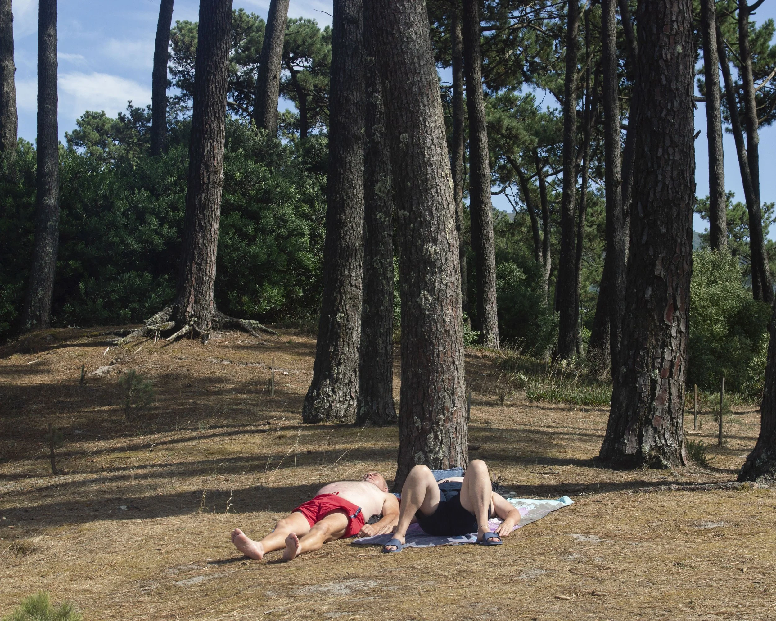 stitulo4, moledo, 2021.jpg