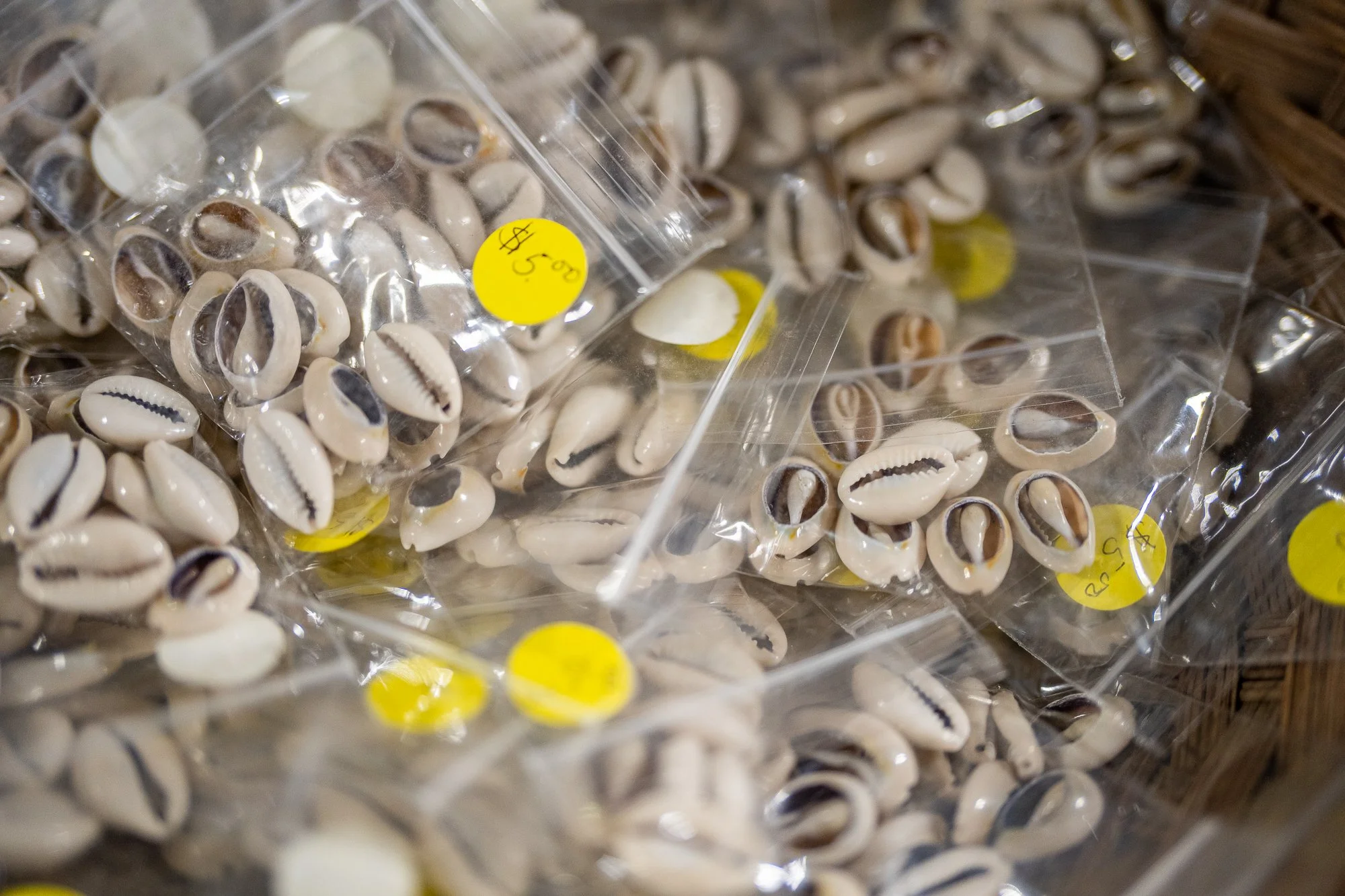 HUE ny 2022-0299.jpg