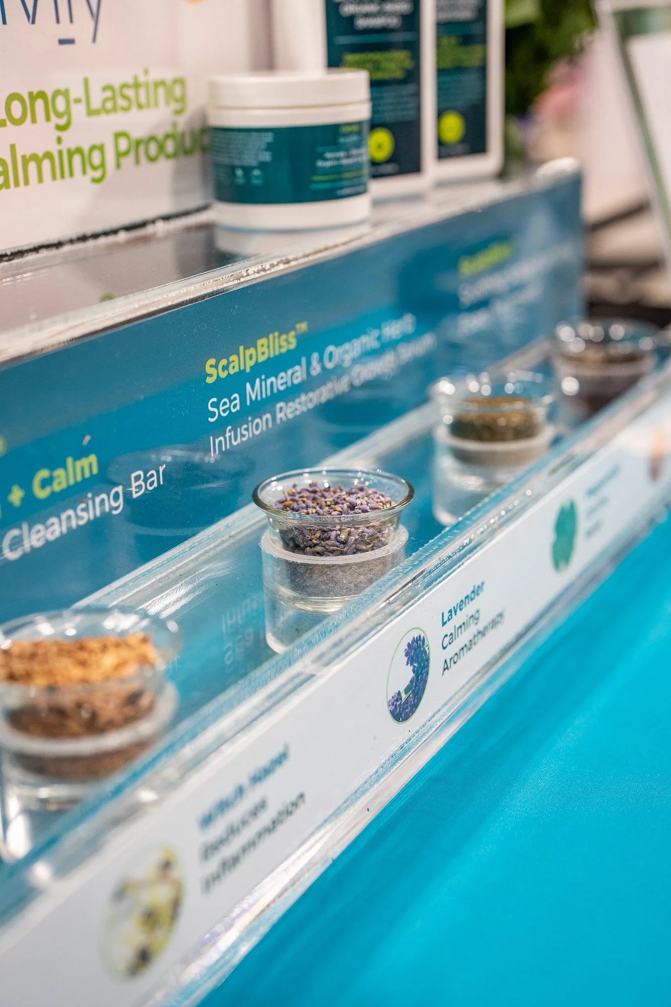 HUE ny 2022-0372.jpg