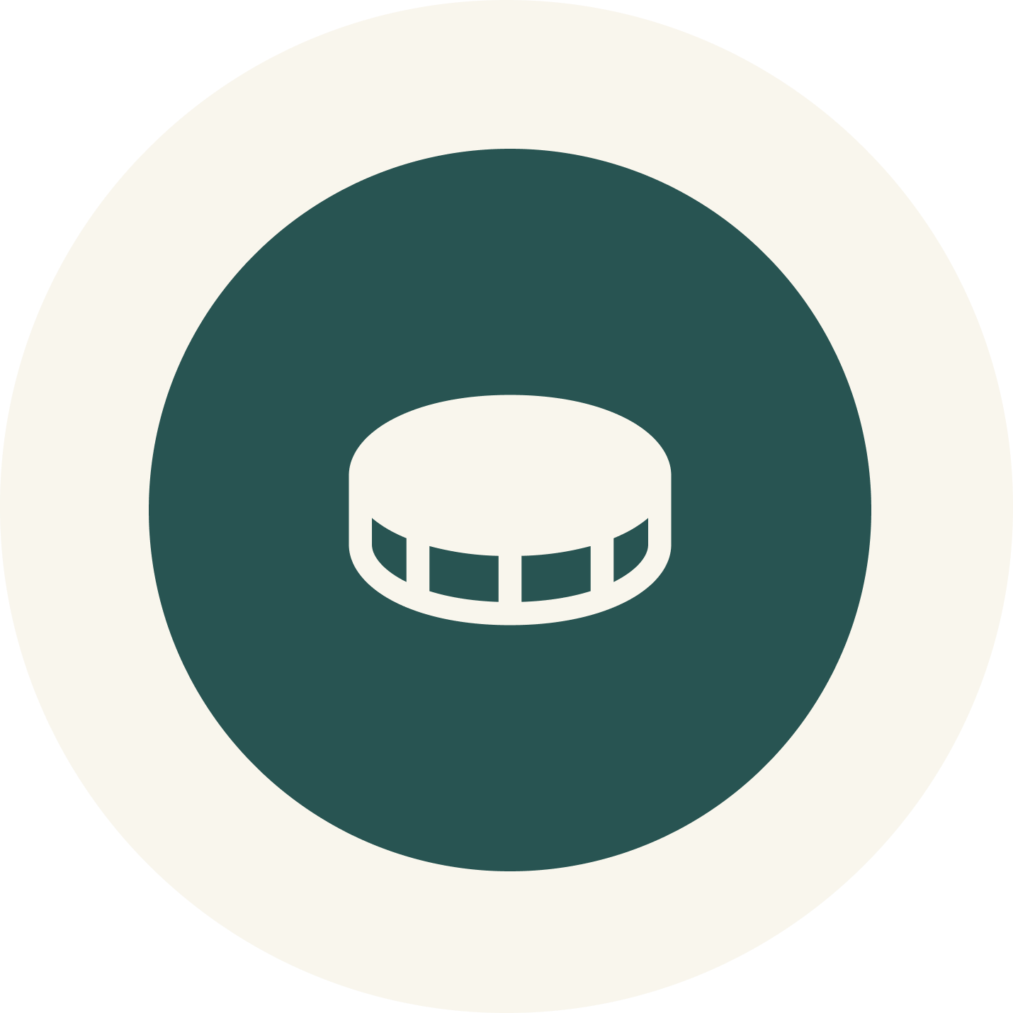 Icon of a hockey puck on a circular target background