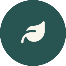 White leaf icon on dark green circular background