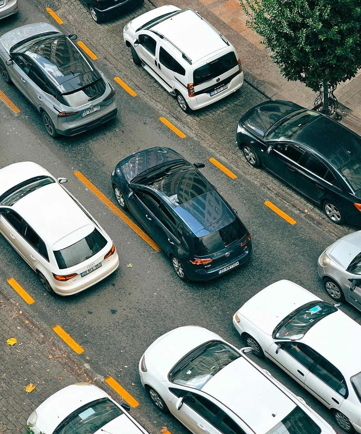 Overhead view of parked cars on city street, including white, black, and silver vehicles, with a sidewalk and green tree at the top right.