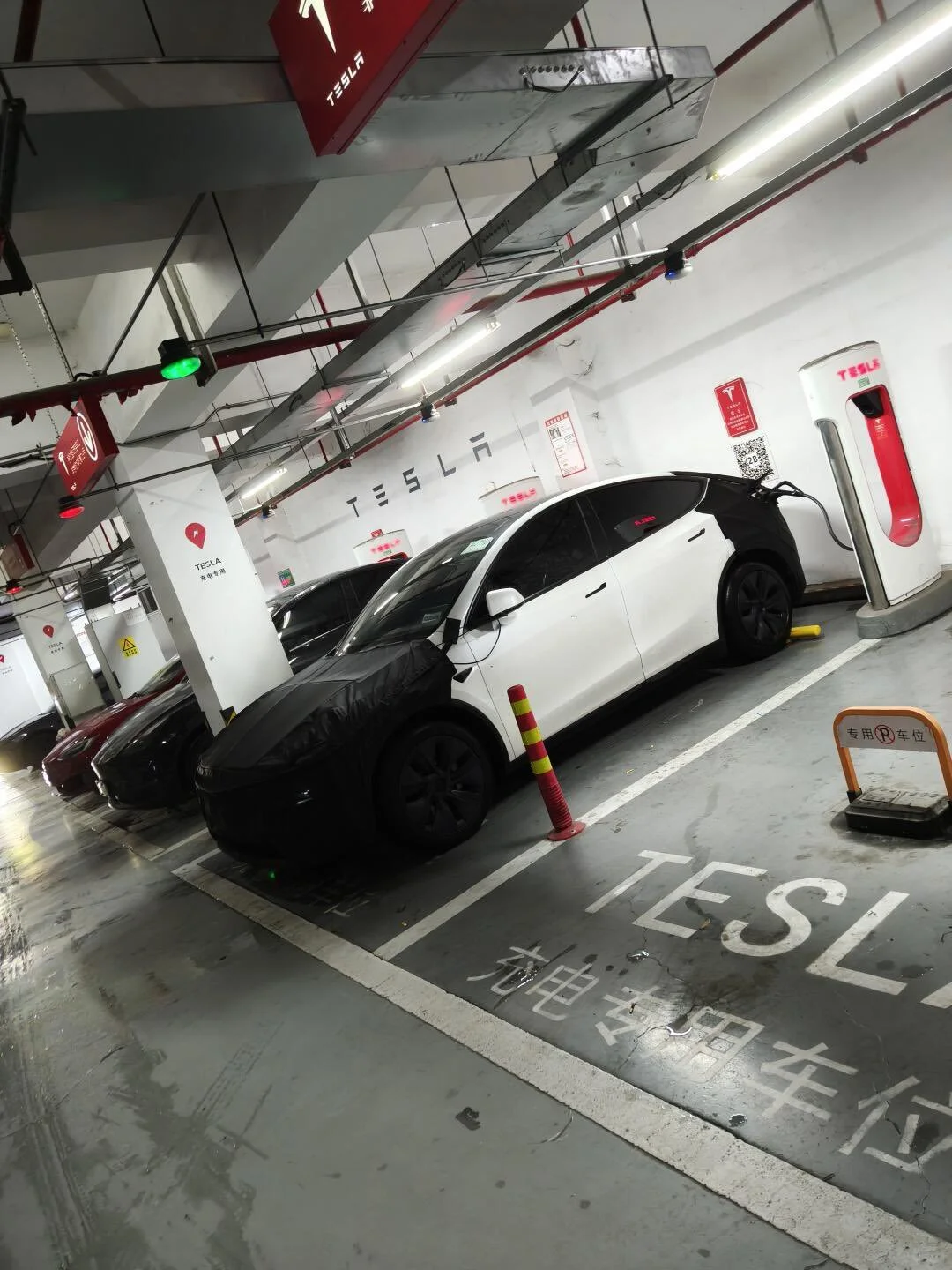 affordable model Y leak outside