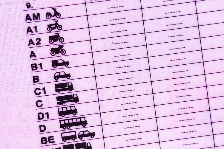 Digital Driving Licence UK 2026: Your Complete Guide | The Electric Car ...