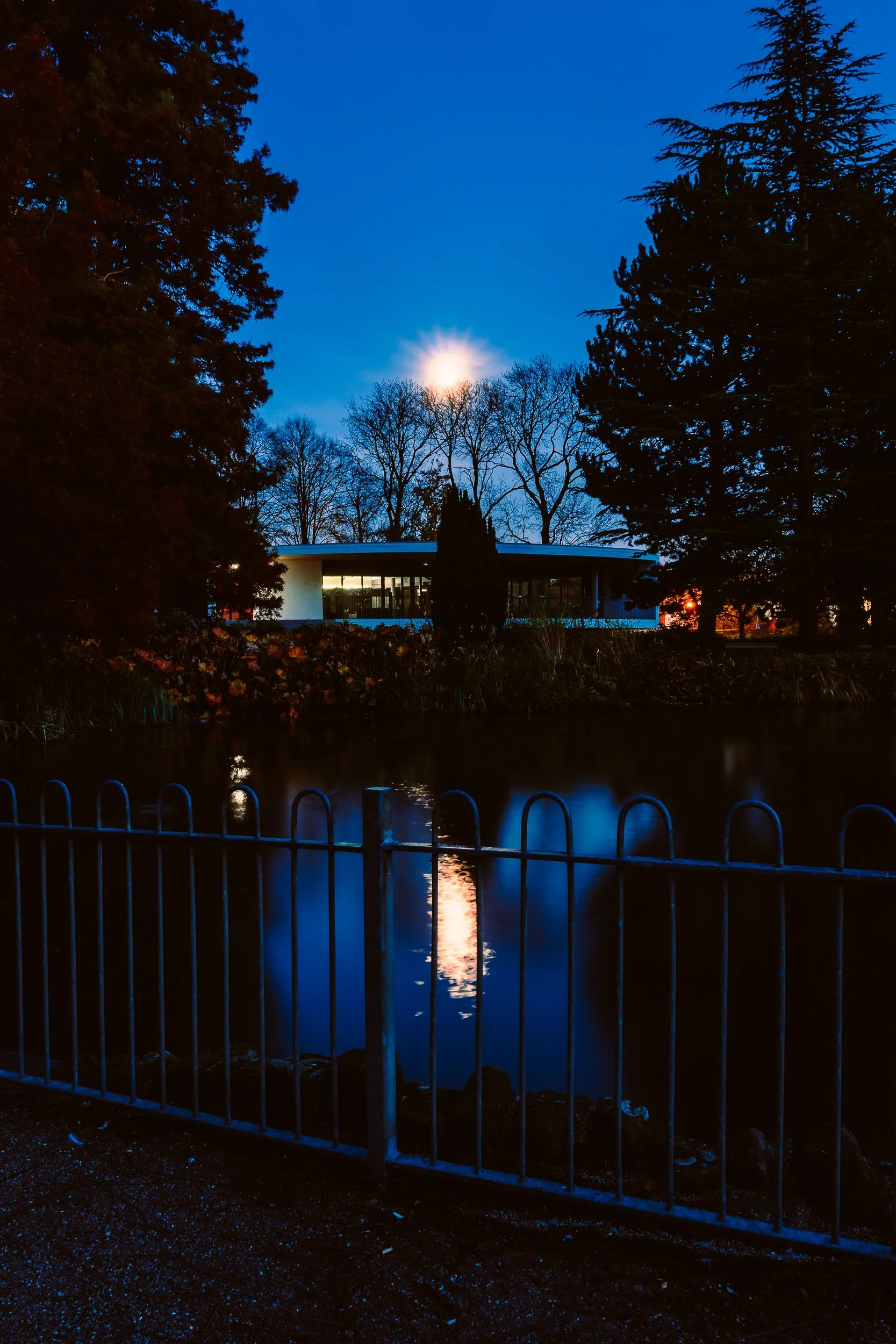 Jephsons Night 15 11 2021 Web-13.jpg