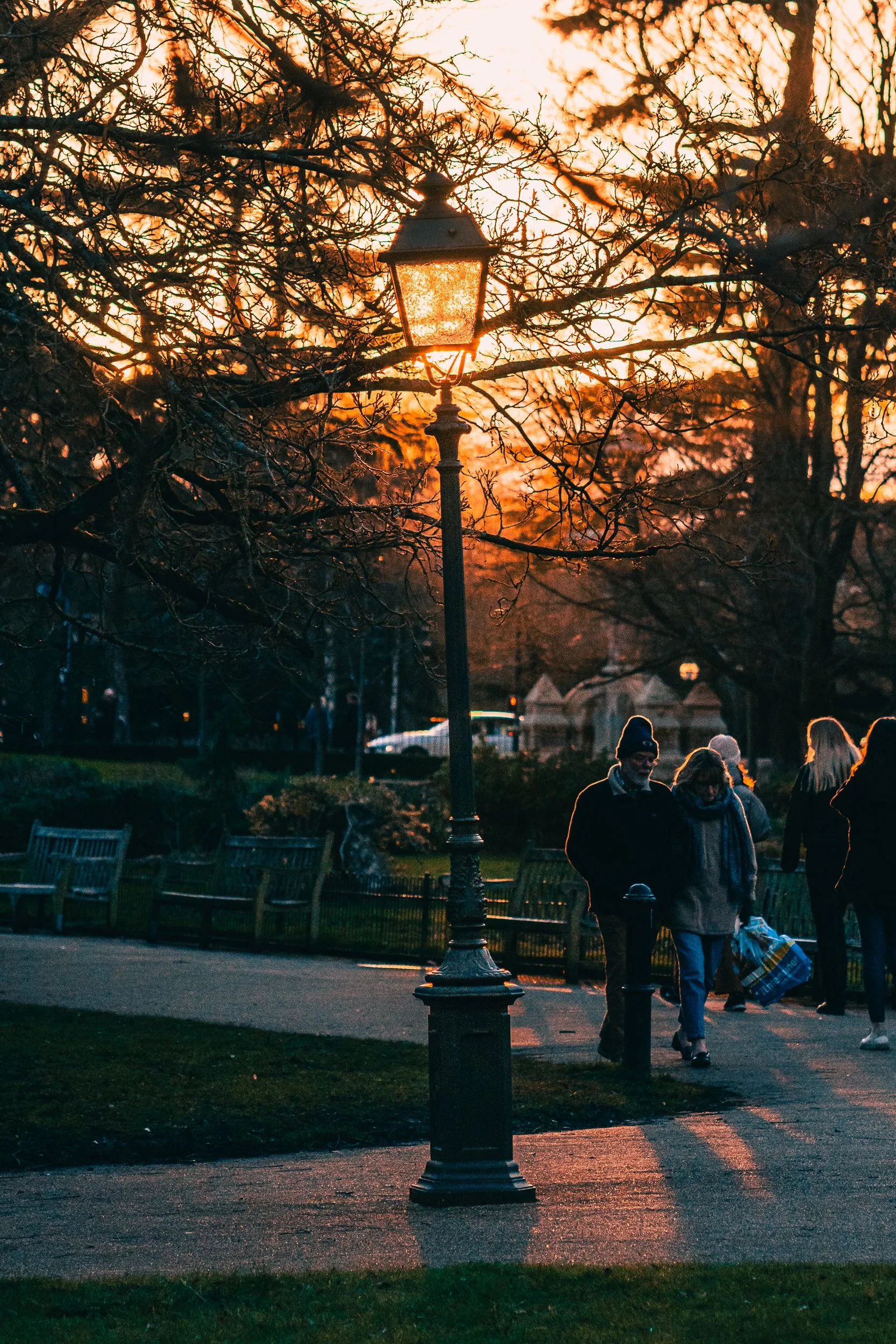 Website Batch 22 03 2022-6.jpg