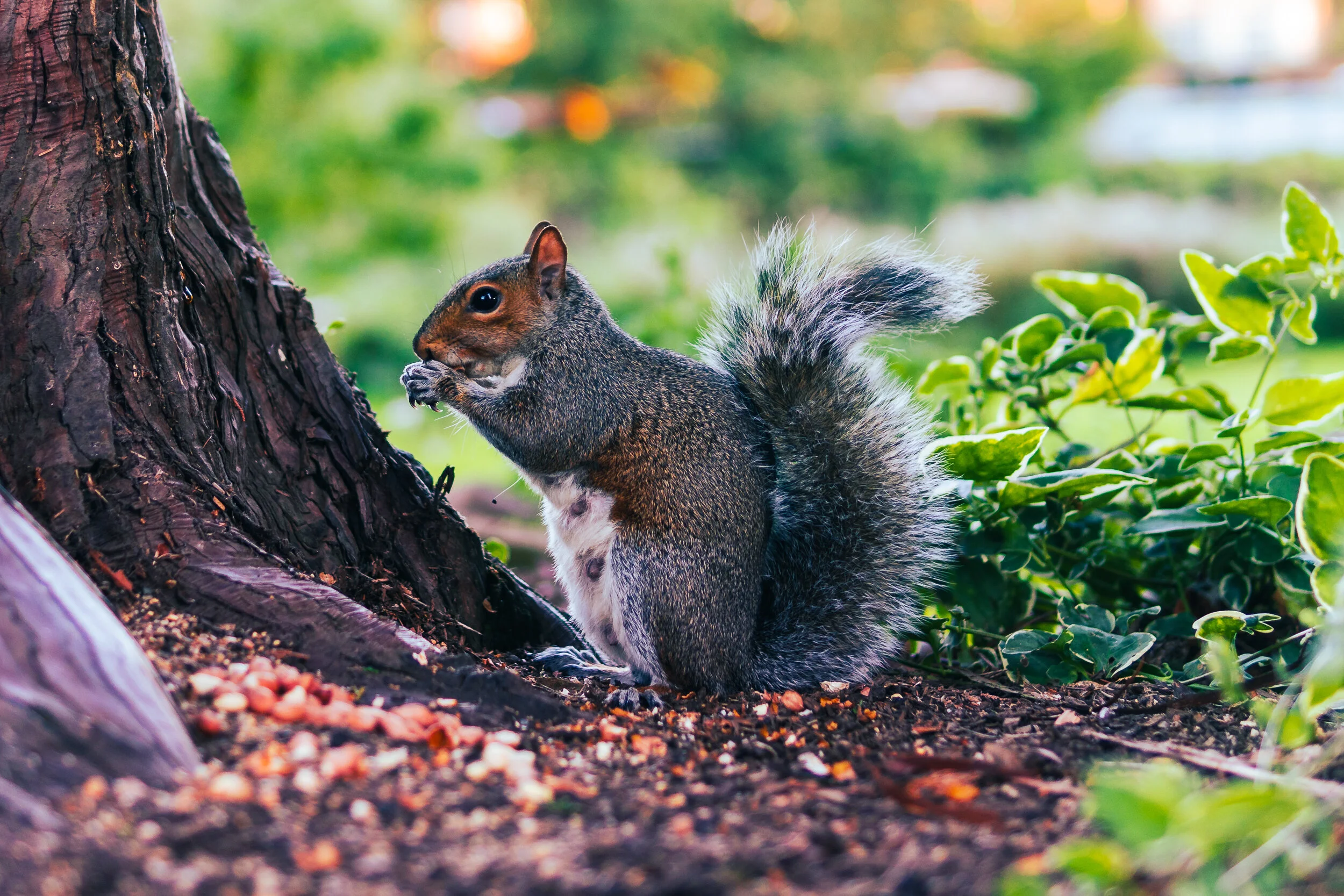 Jephson Gardens-11.jpg