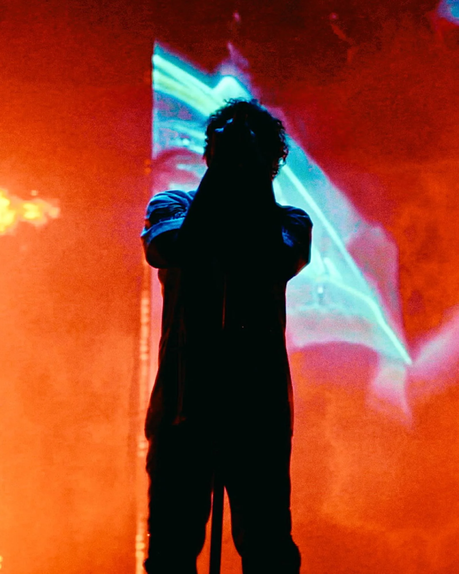 Post Malone by Jason Denison