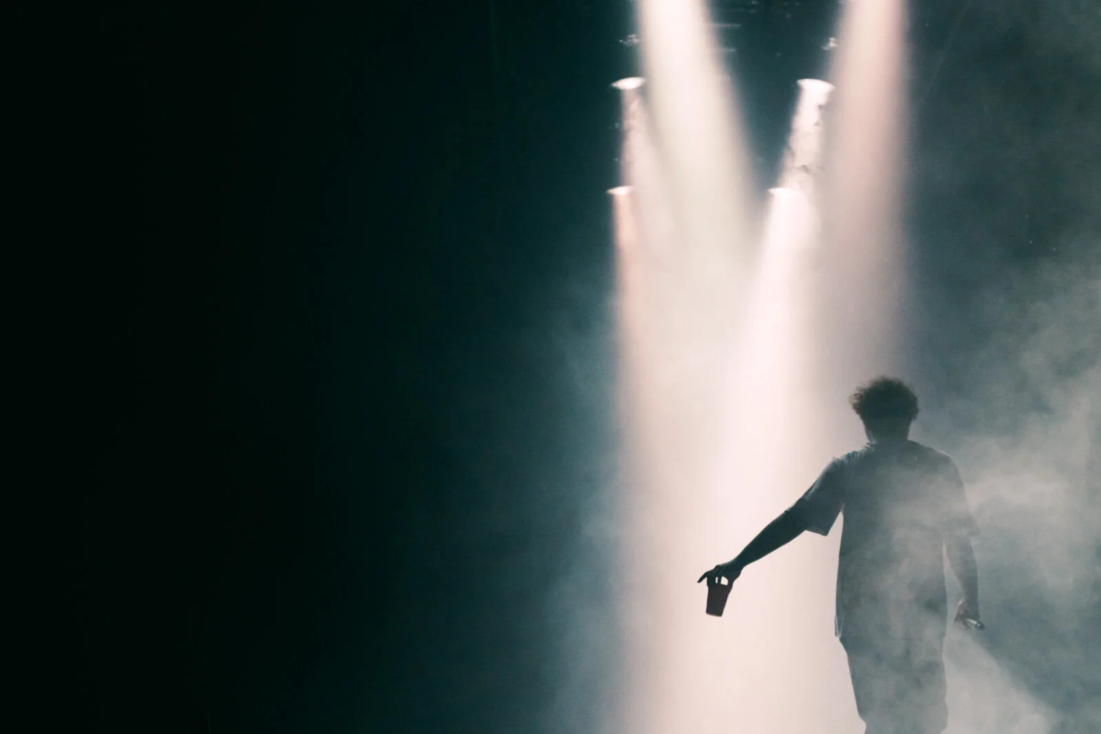 Post Malone by Jason Denison