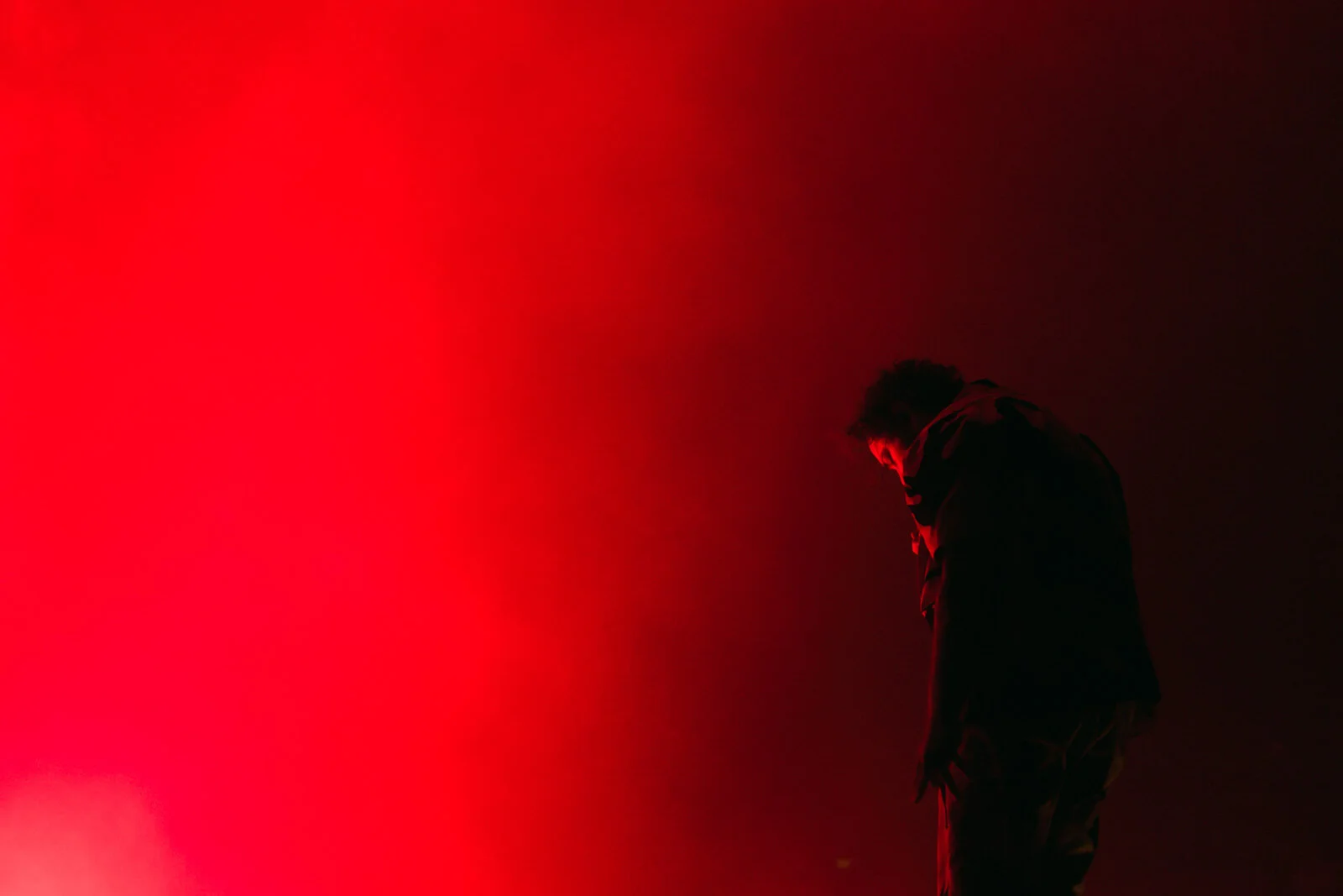 Post Malone by Jason Denison