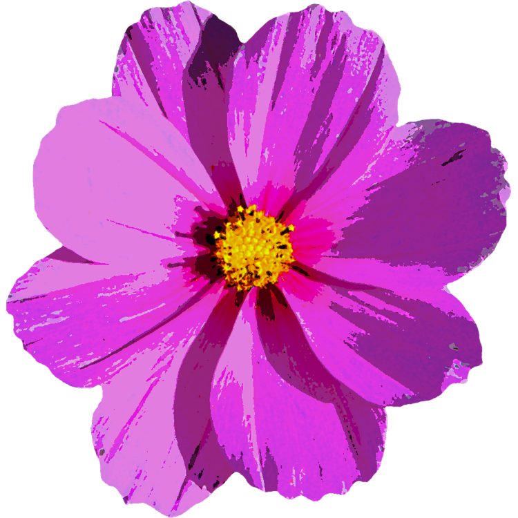 flower2.png