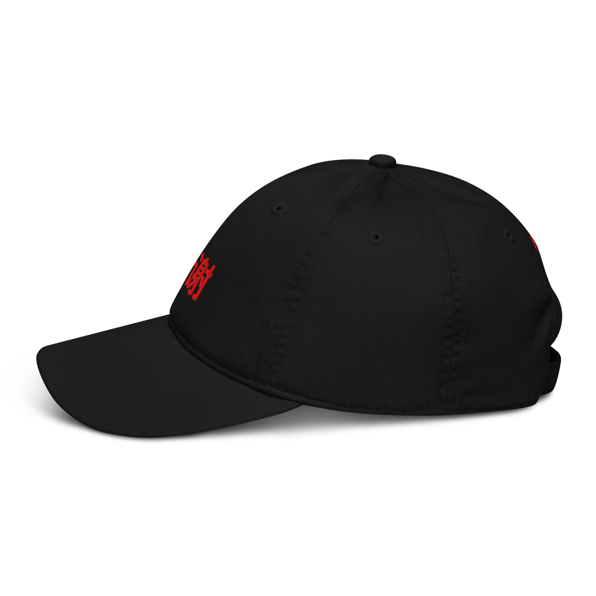 organic-baseball-cap-black-left-6812b7c7eddf0.jpg