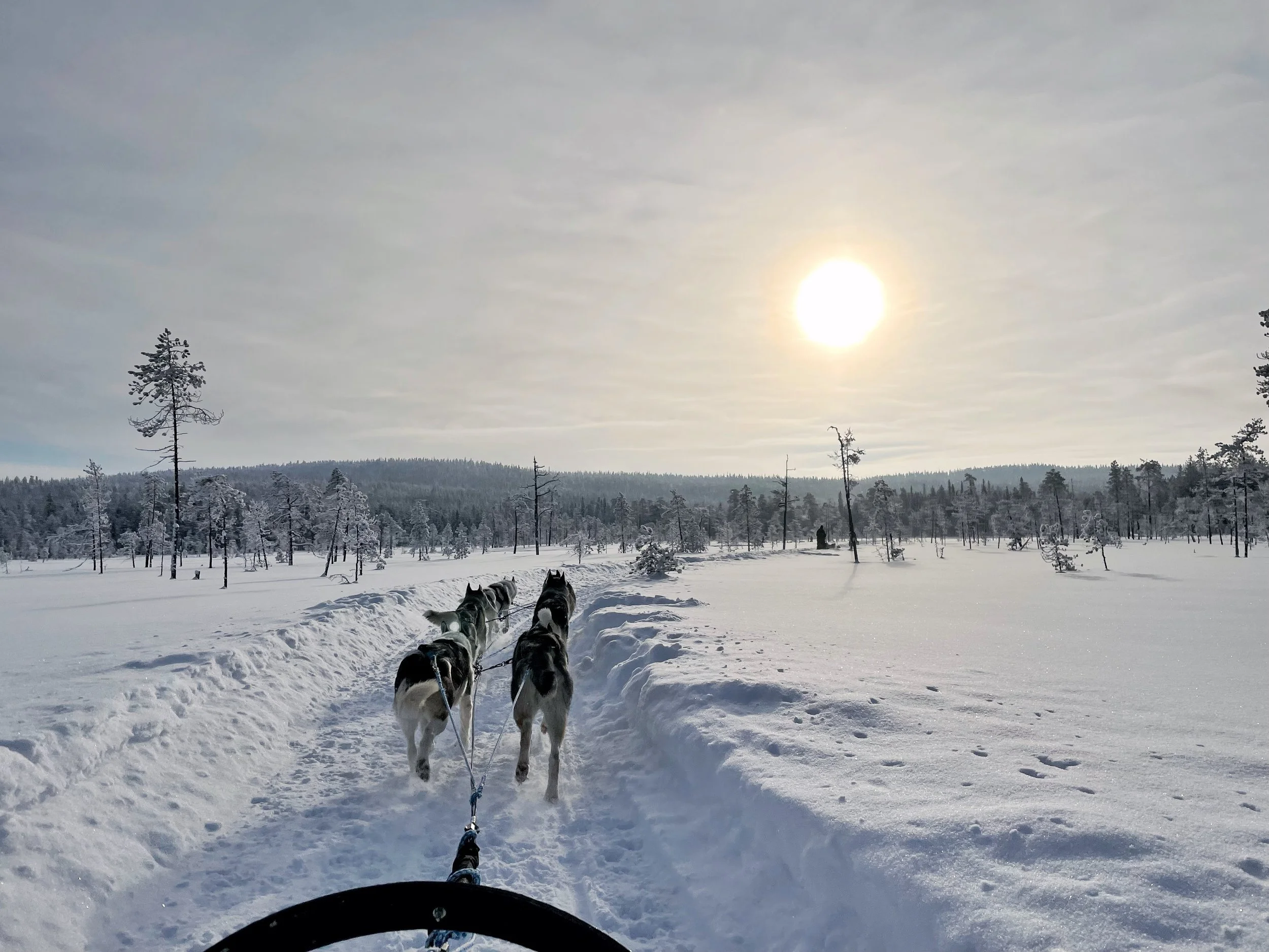 One of the scariest moments of my life.