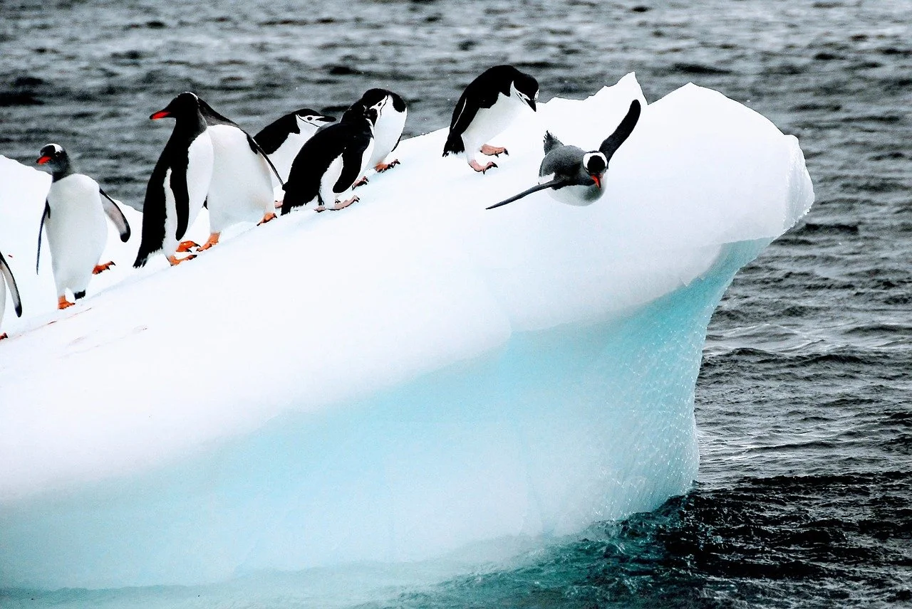 drake passage: myth vs fact.