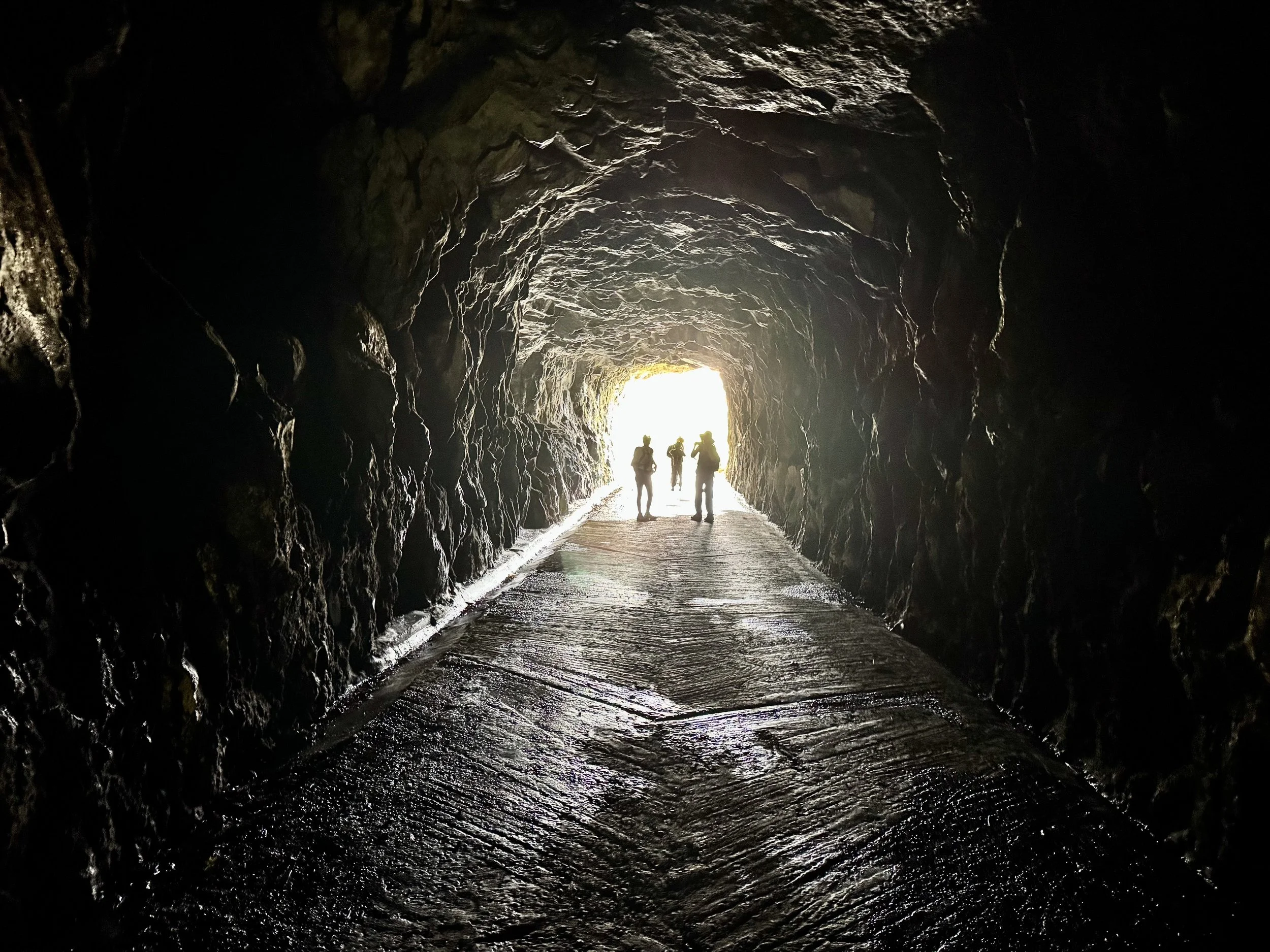 tunnel.jpg