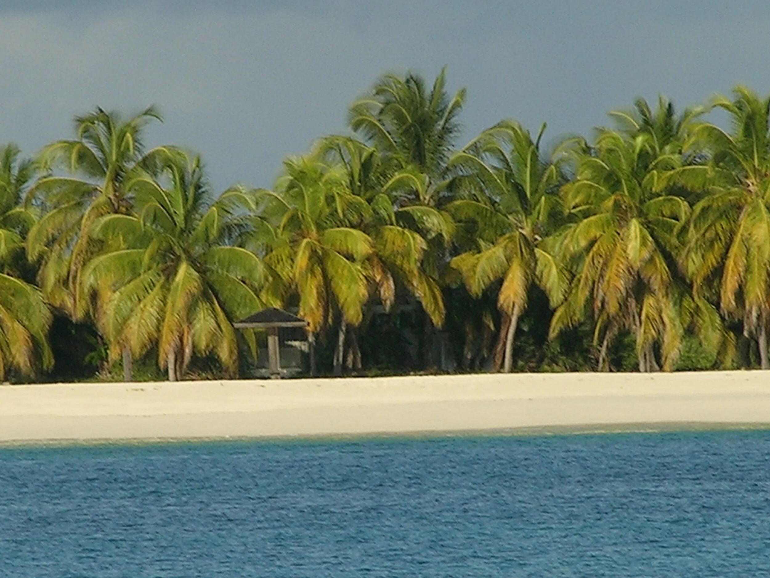 Caribbean Dream #1