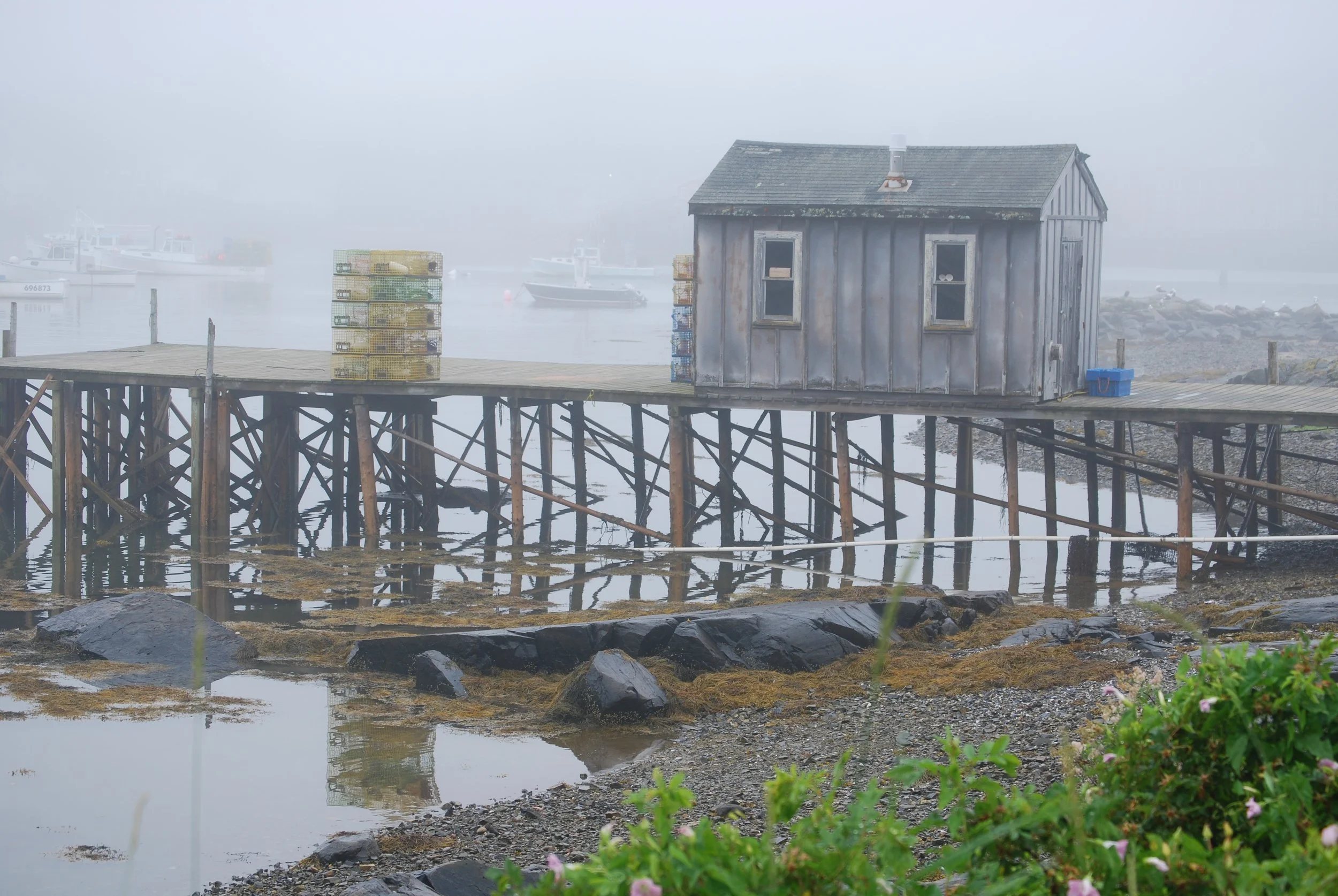 Lobster Shack