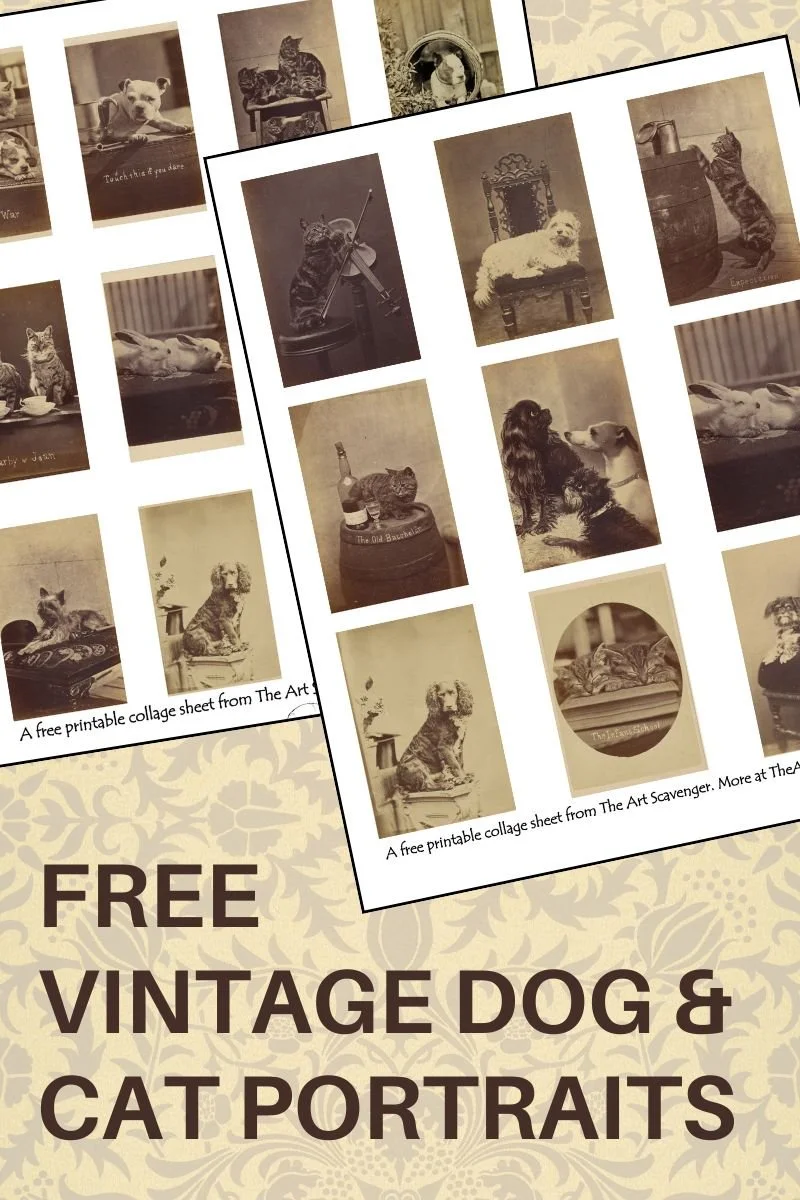 Vintage dog and cat portraits collage sheets from 1800s by Henry Pointer