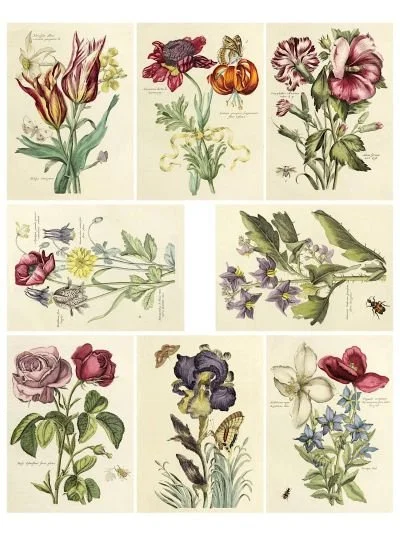 Free Flower Collage Printables